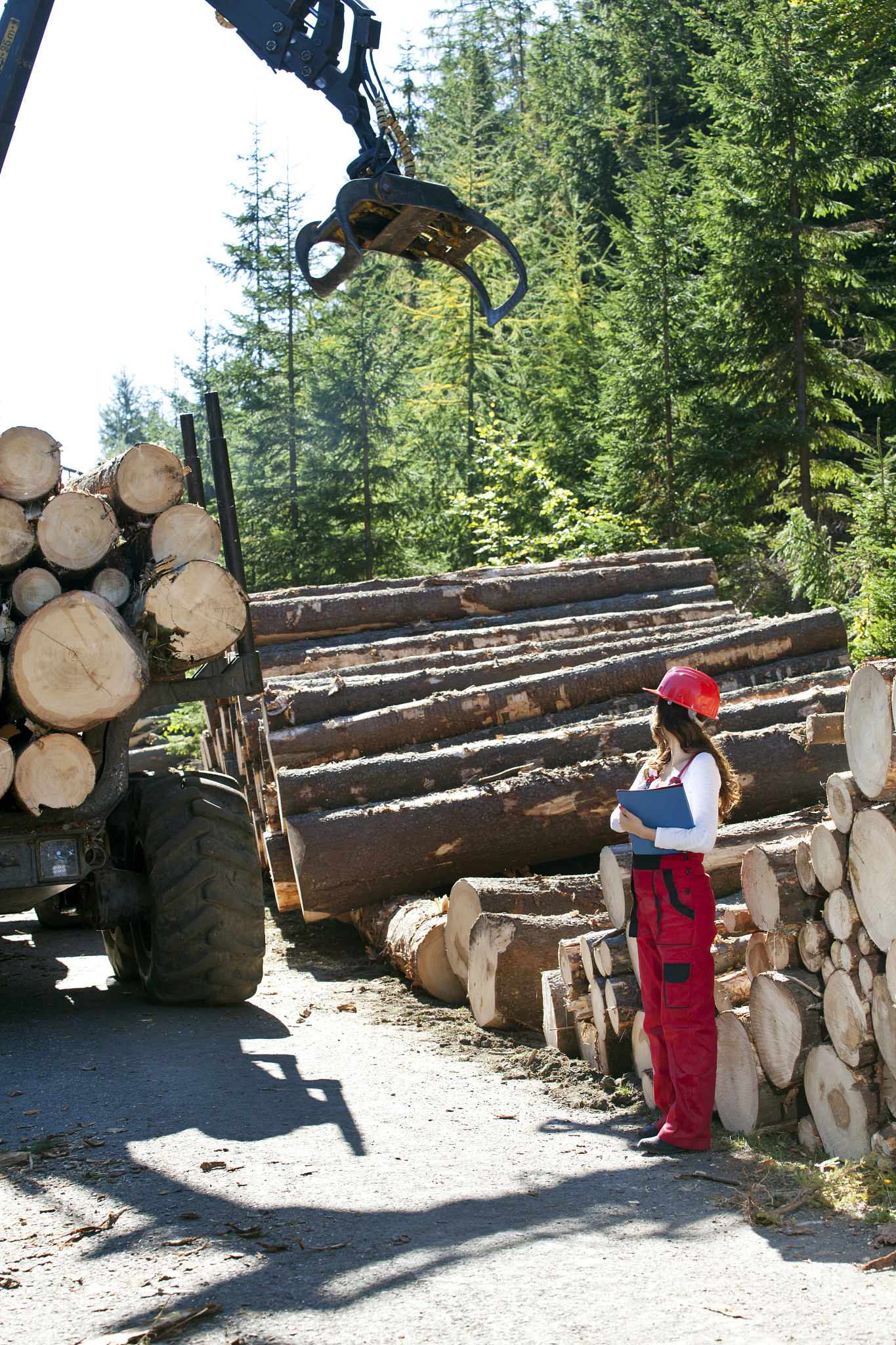 森林工程技术专科就业前景好不好？