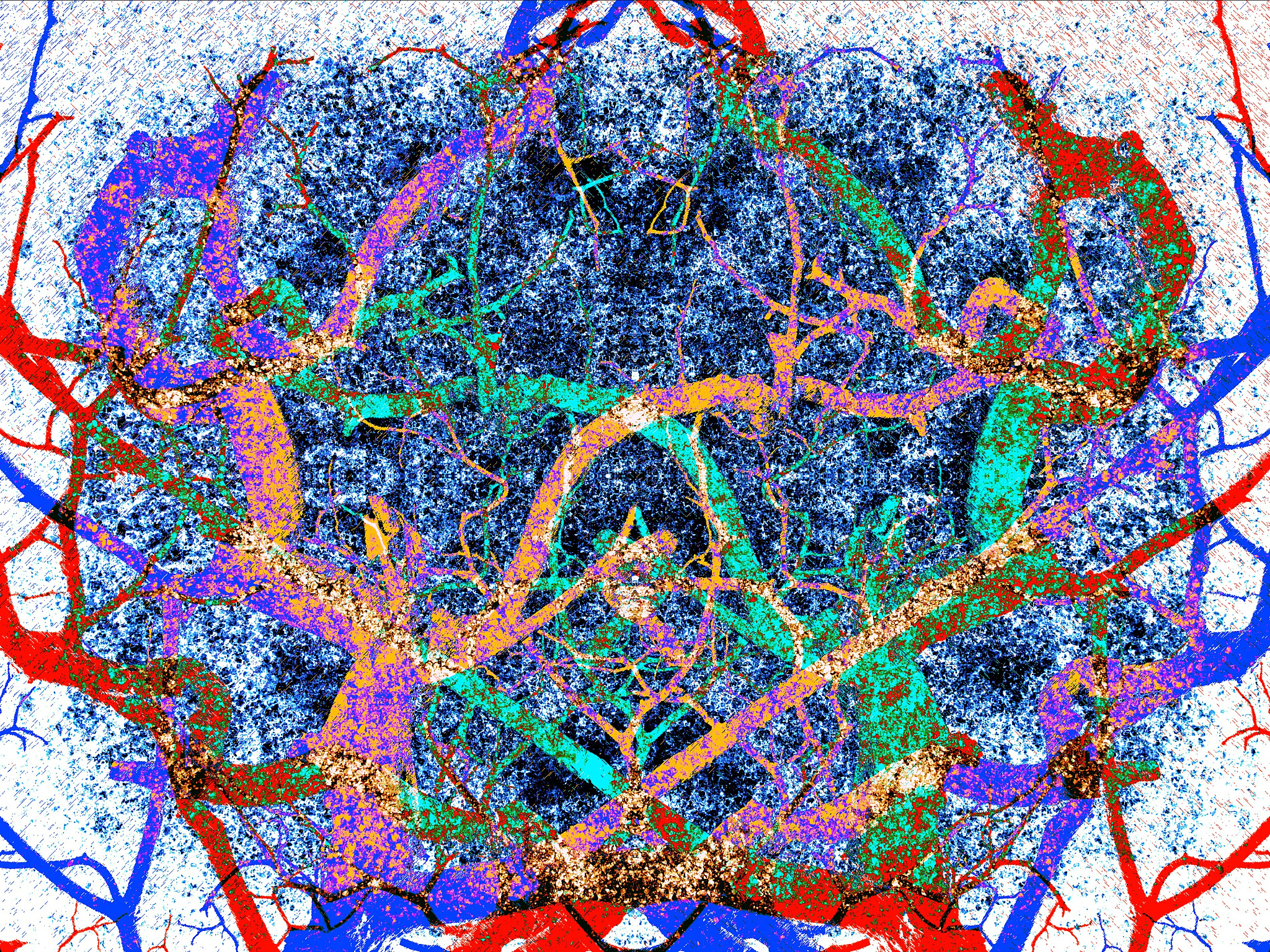 文本插值与噪声插值：生成逼真鸟类图像