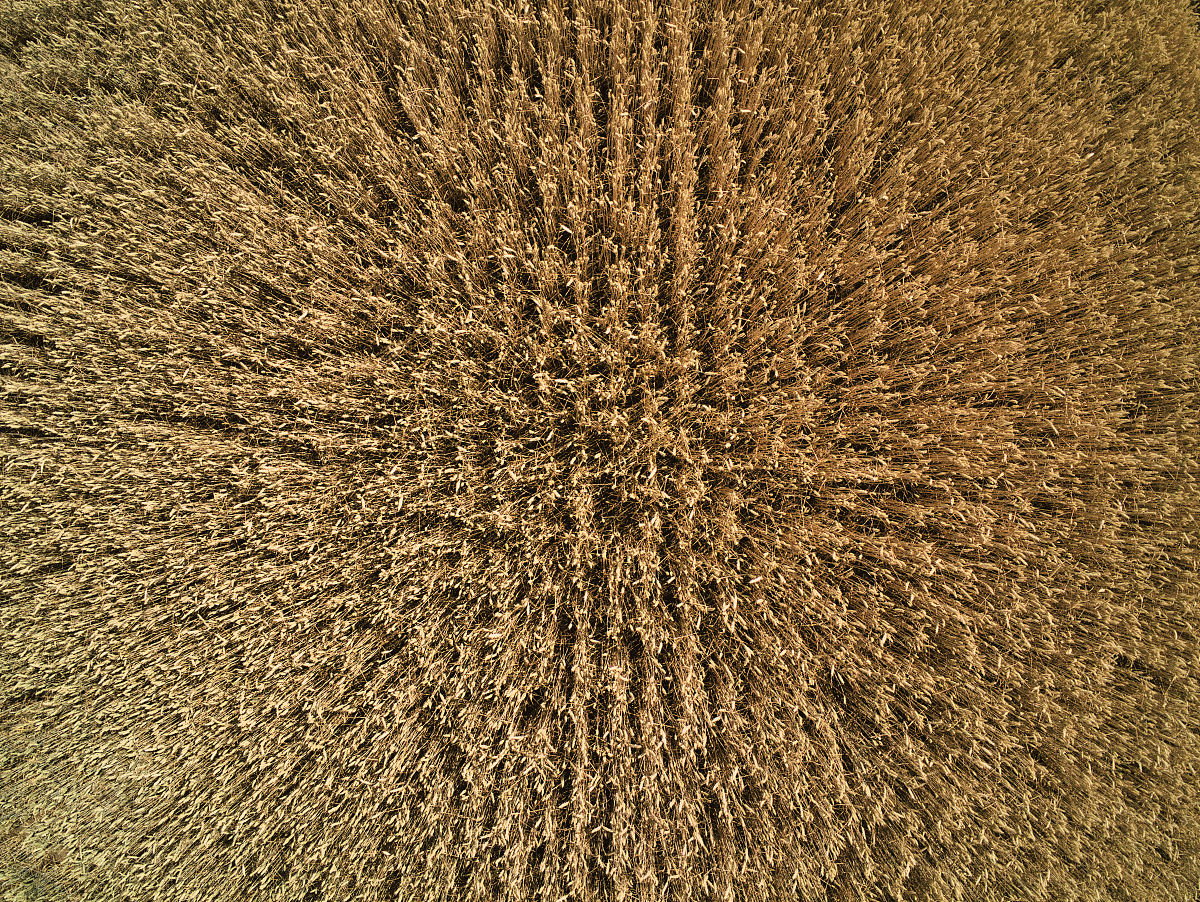 解决温饱问题的时间，