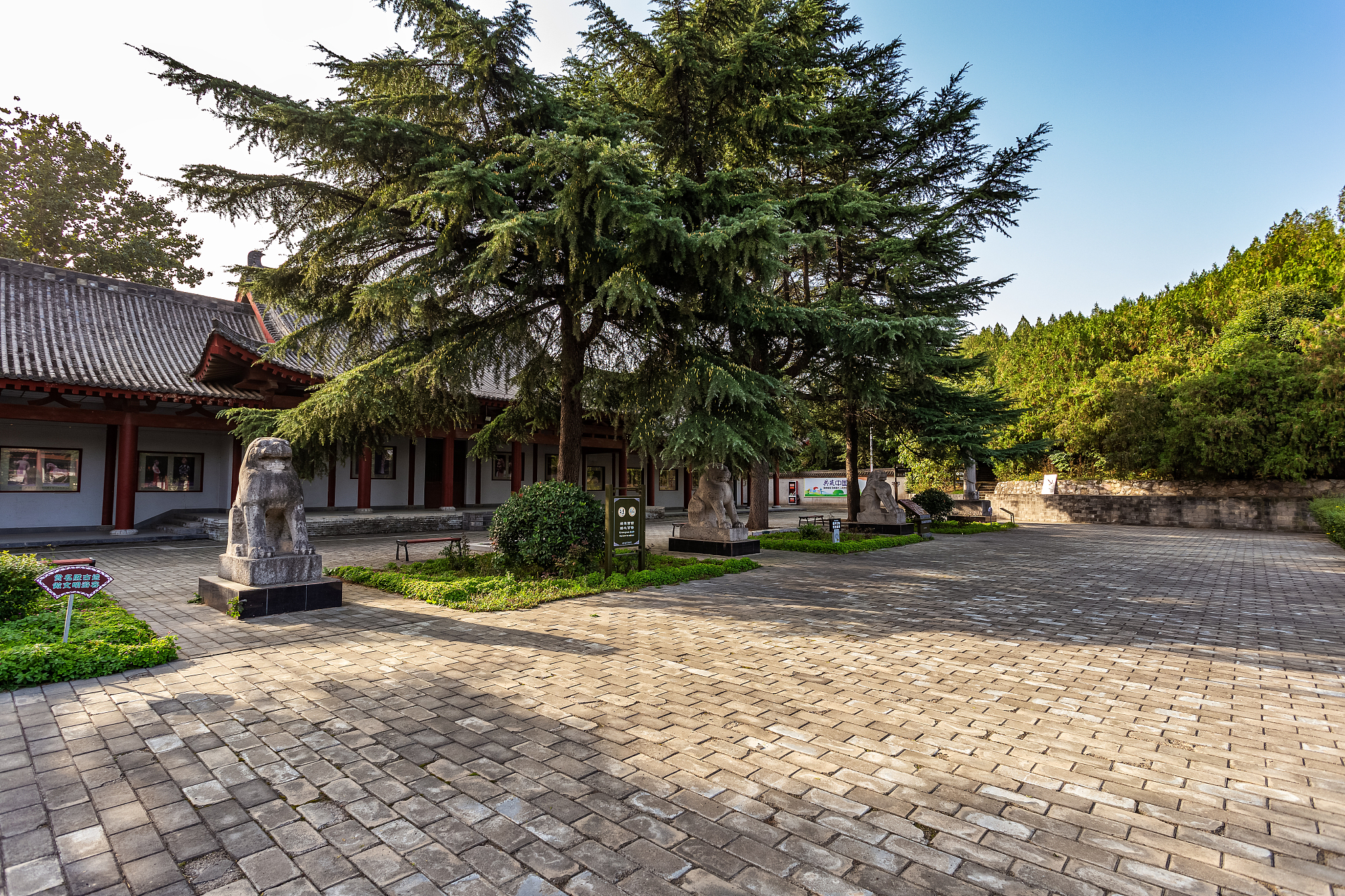 礼泉县职业教育中心地址在哪里