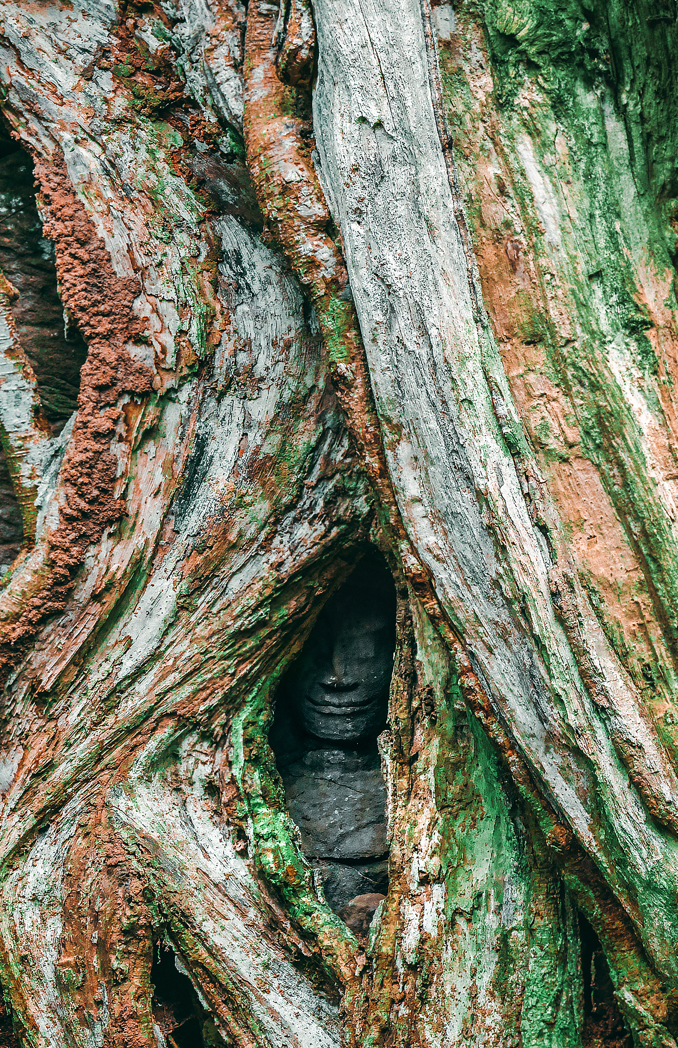 为什么南方的次生矿物多回答及拓展