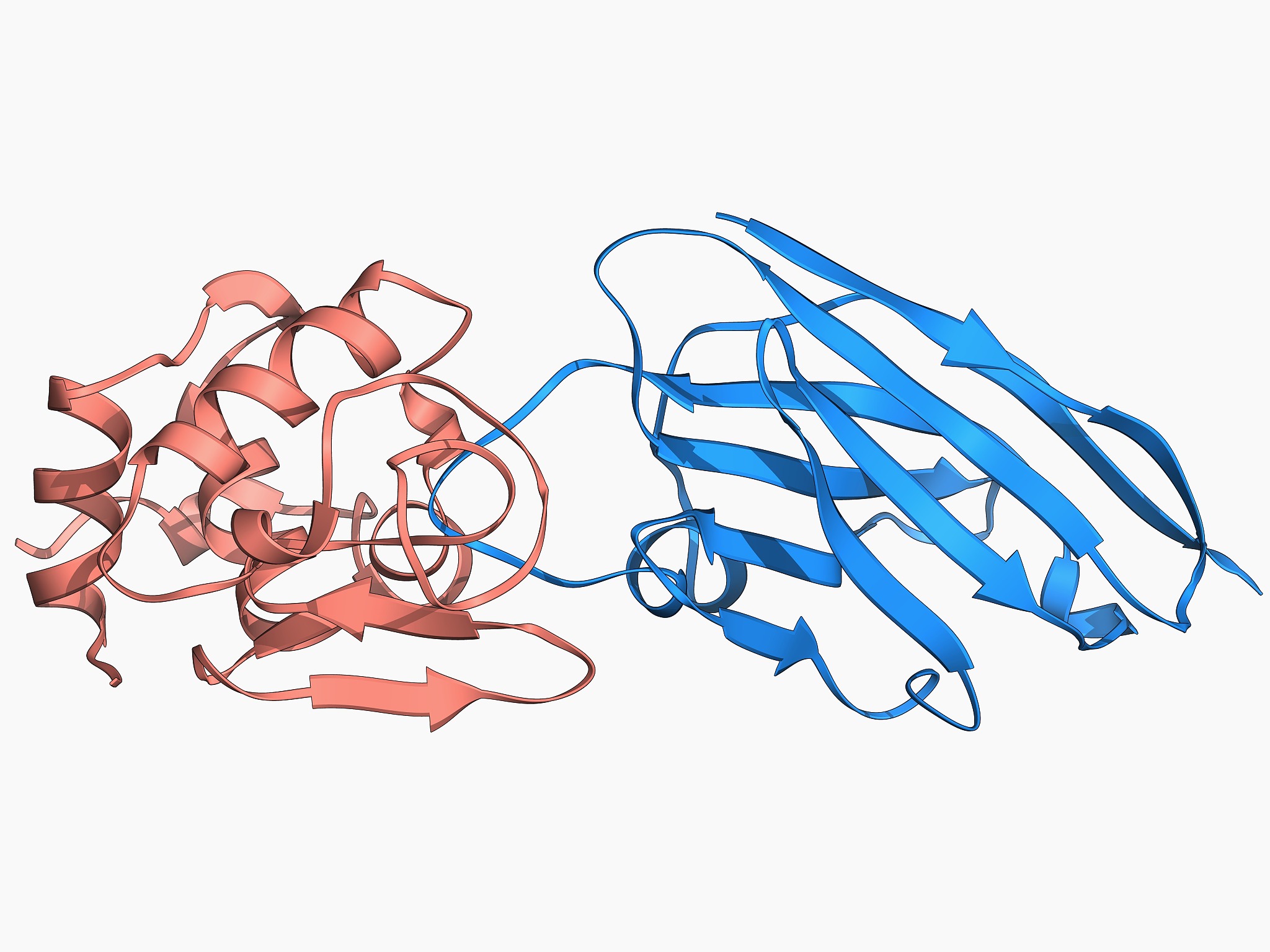 亲和层析和离子交换层析：优缺点及应用条件比较