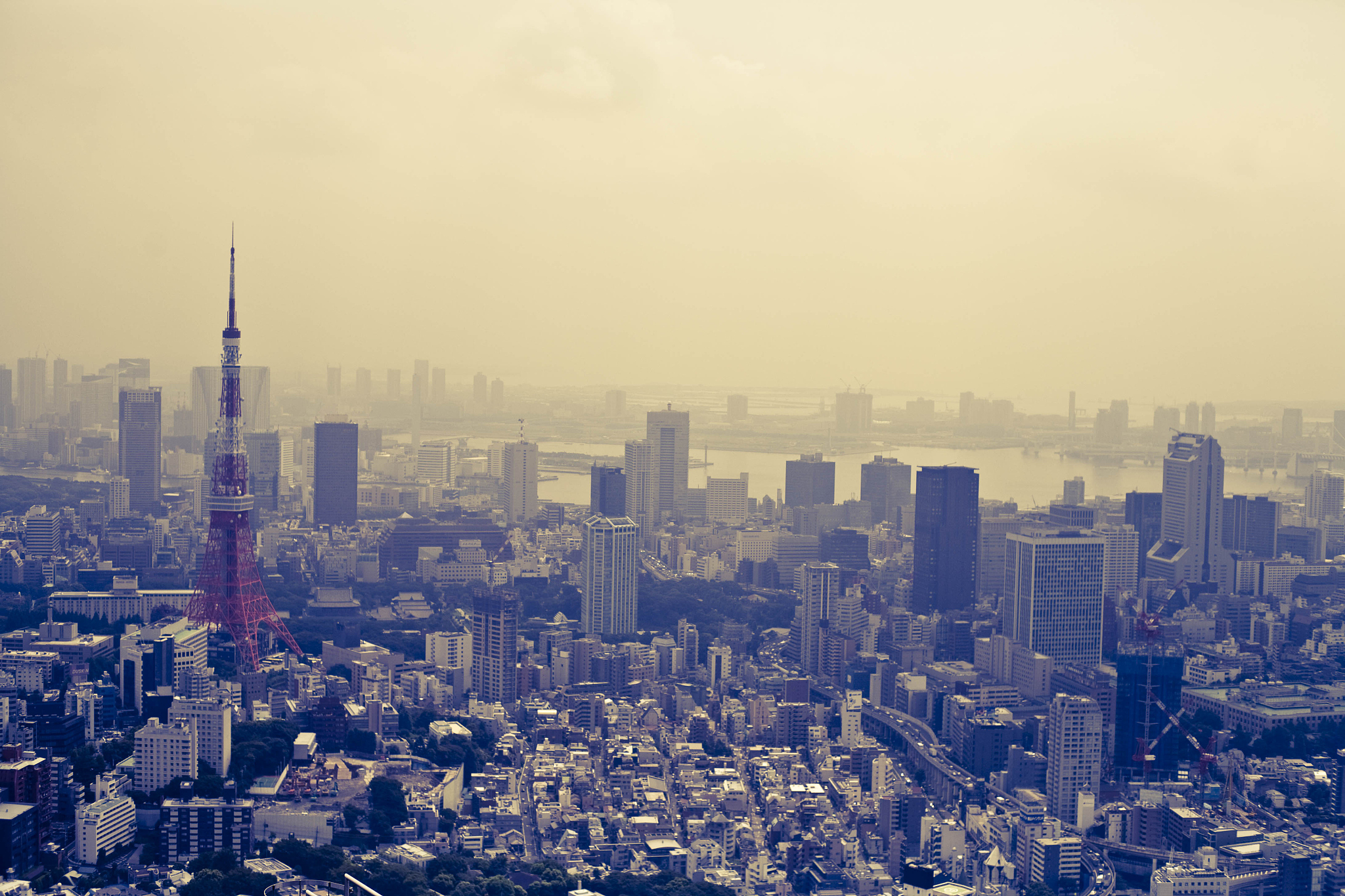 tokyo scenery