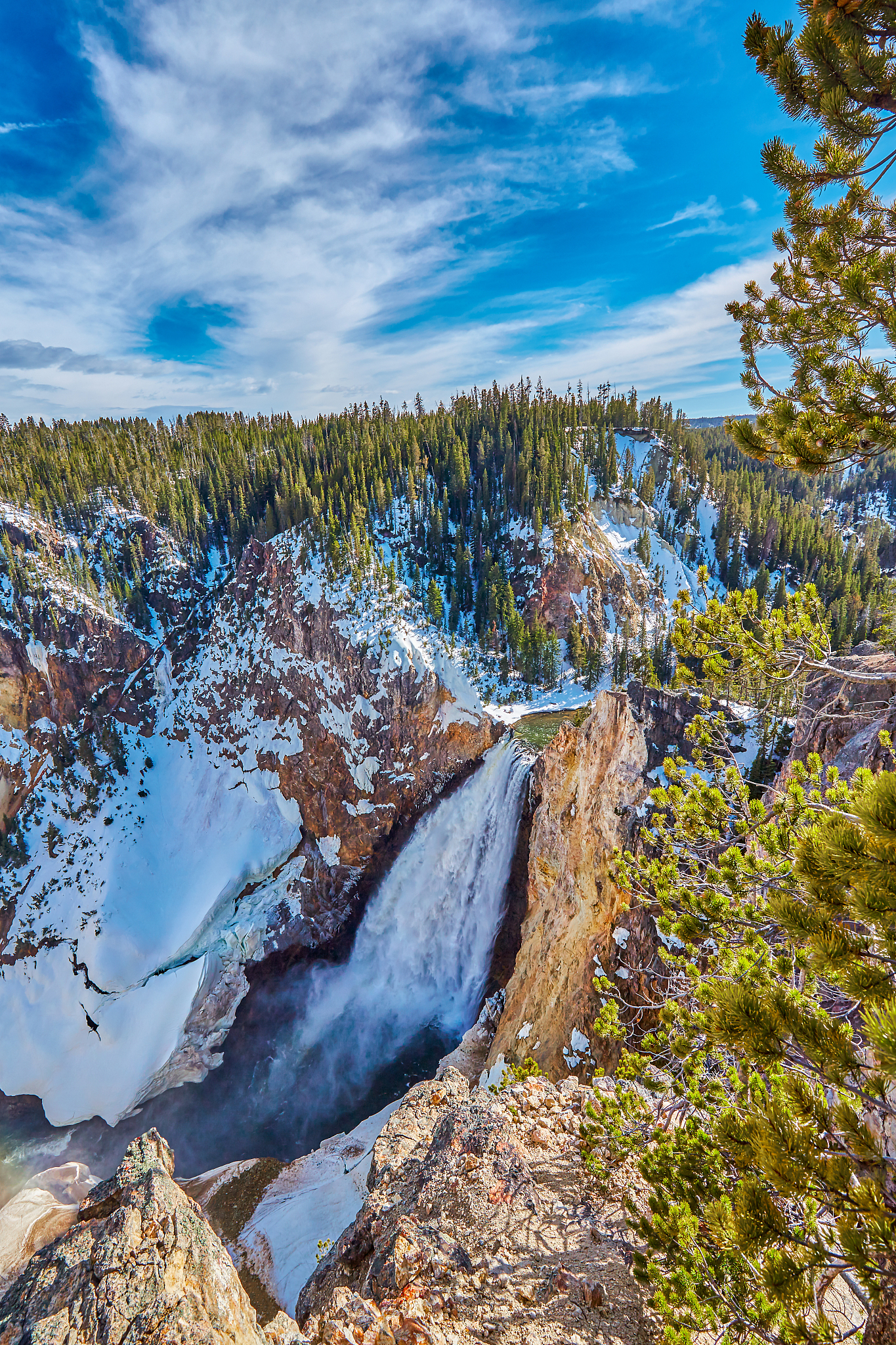 黄石公园冬夏秋纪录片观后感 - 生动呈现四季之美