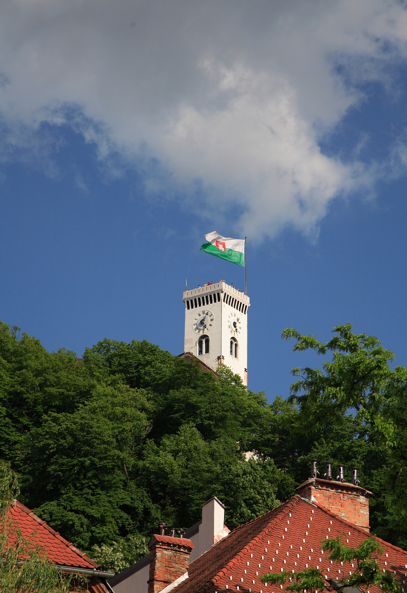 tower of lubljana castle with slovenian flag