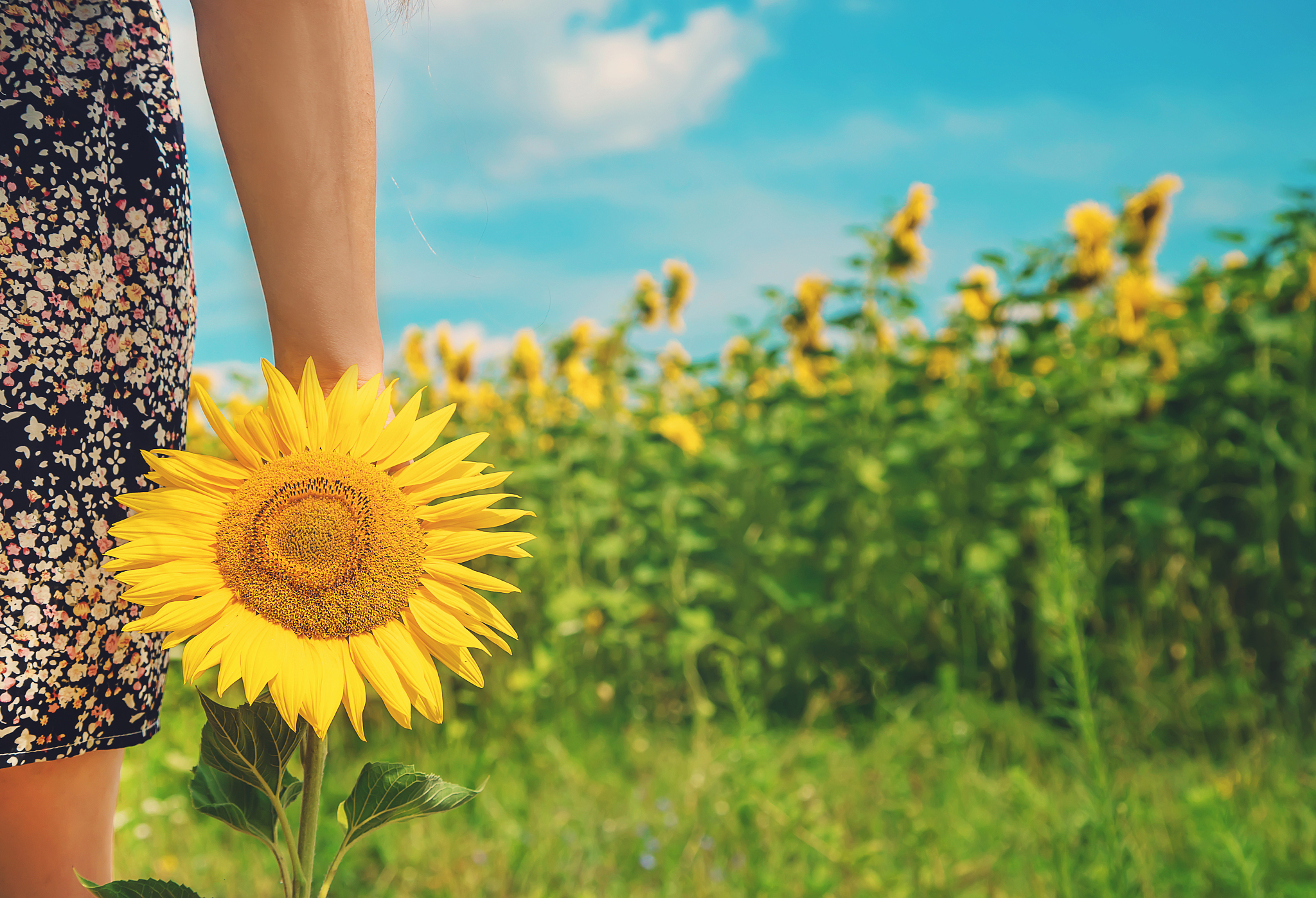 充实生活，追求爱好，乐观人生：实现幸福的关键