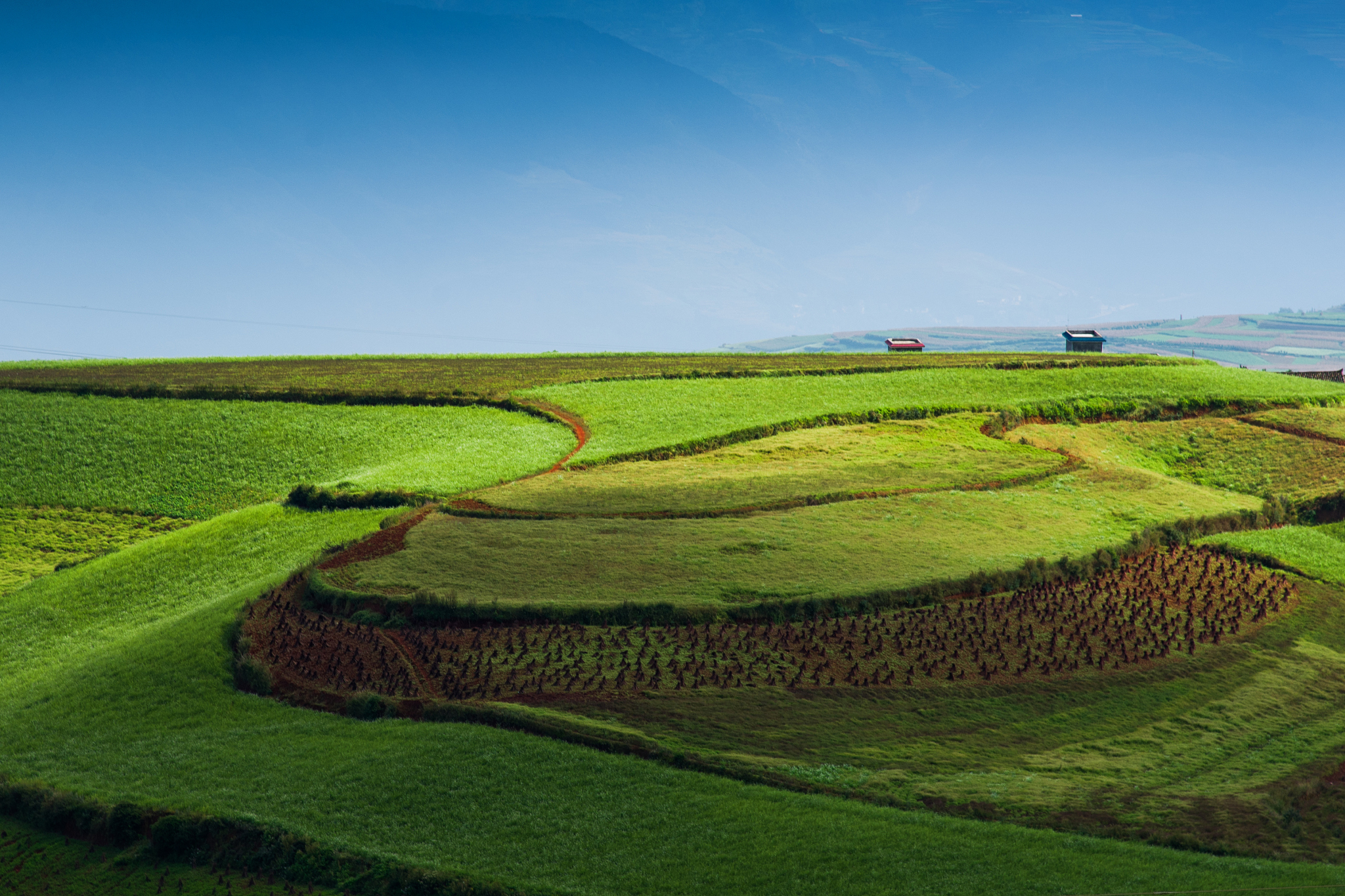 hongtudi, dongchuan red soil of yunnan, china