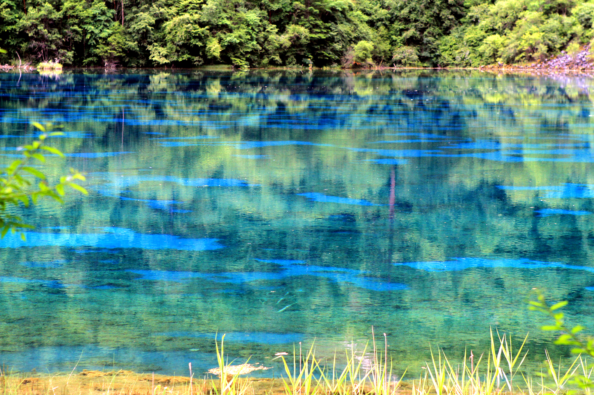 请以100字描述九寨沟的水