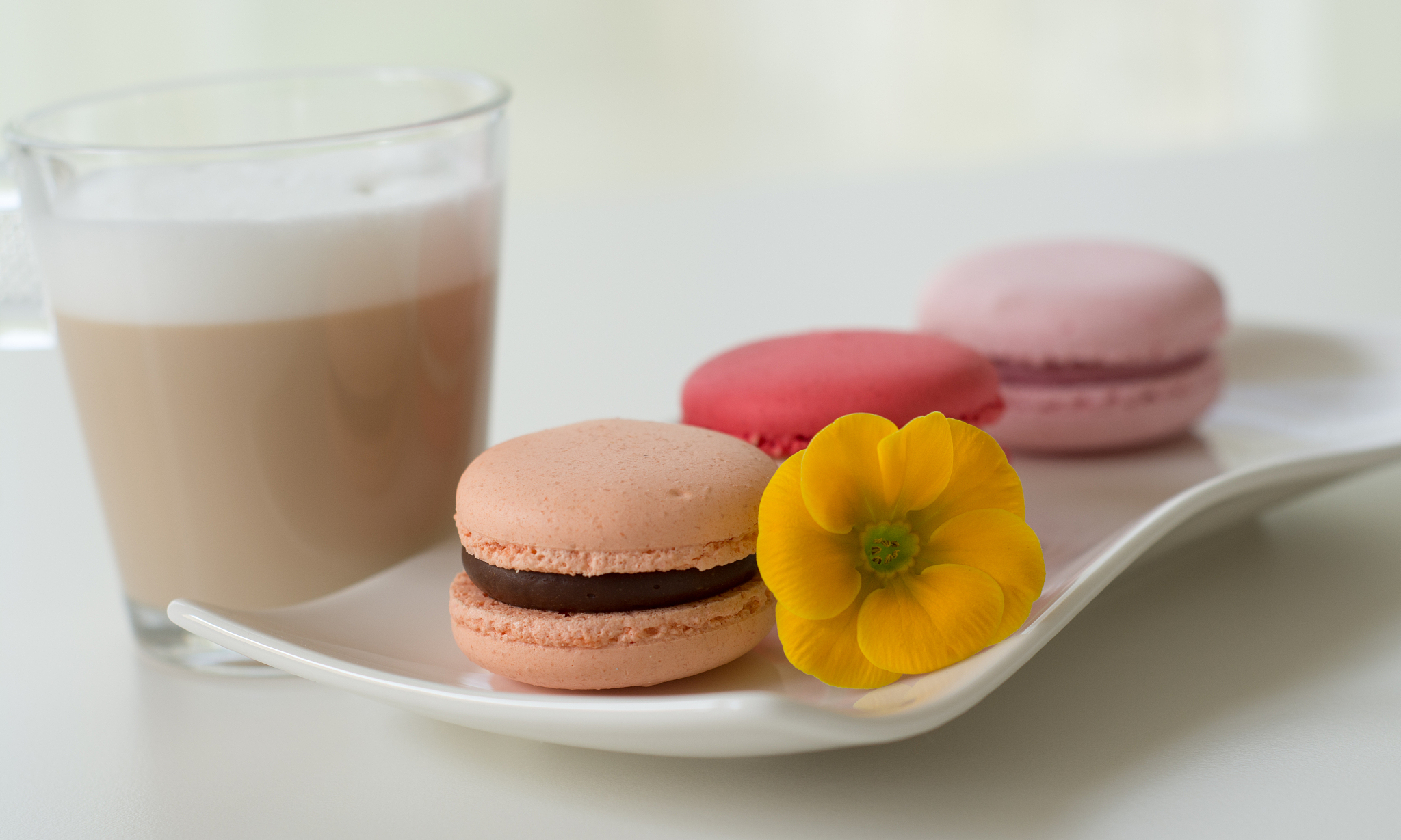 浙江医药高等专科学校食品贮运与营销专业怎么样？就业前景、课程设置及优势分析