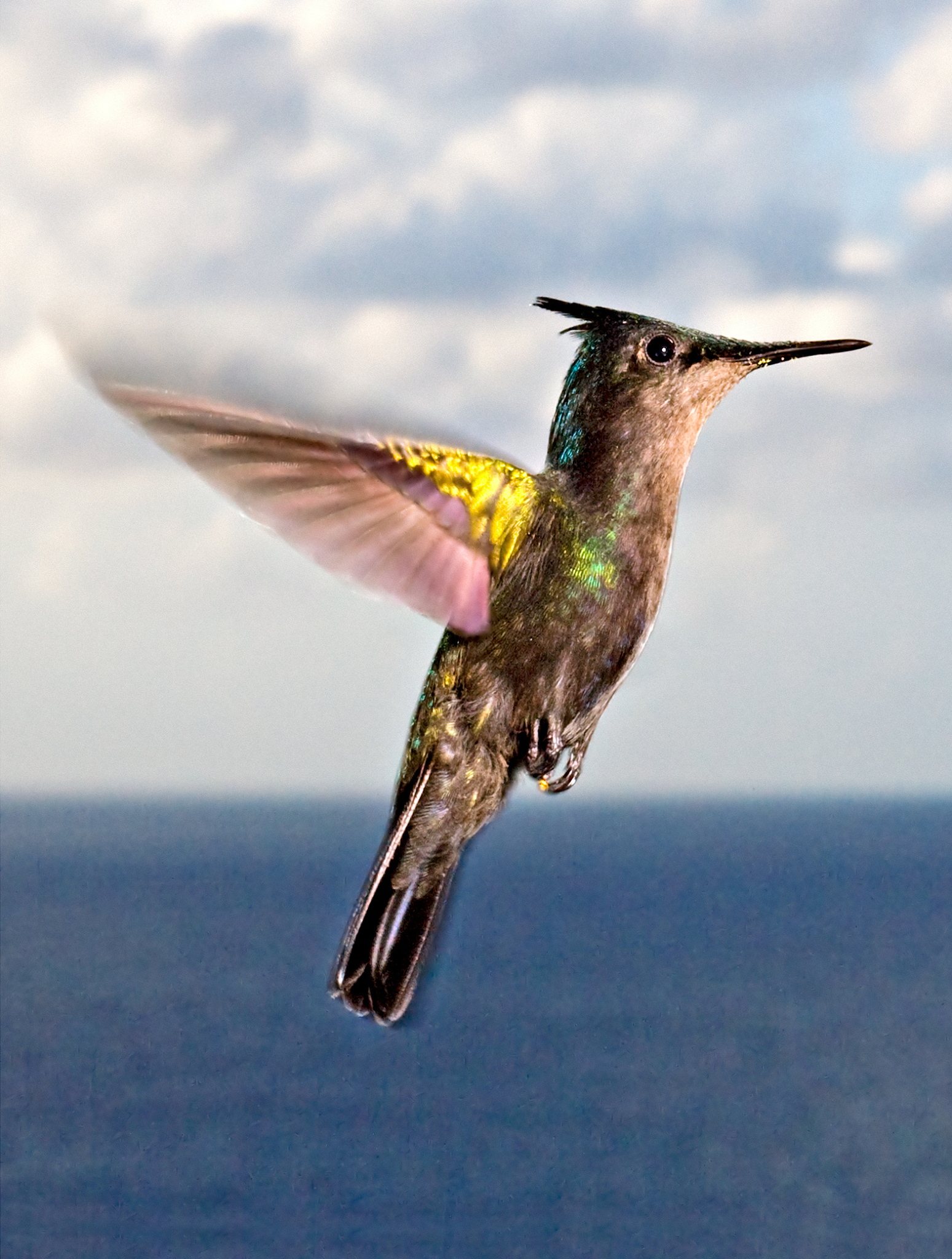 从自然界汲取创新灵感：5000字论文探讨自然界对创新思想的启示