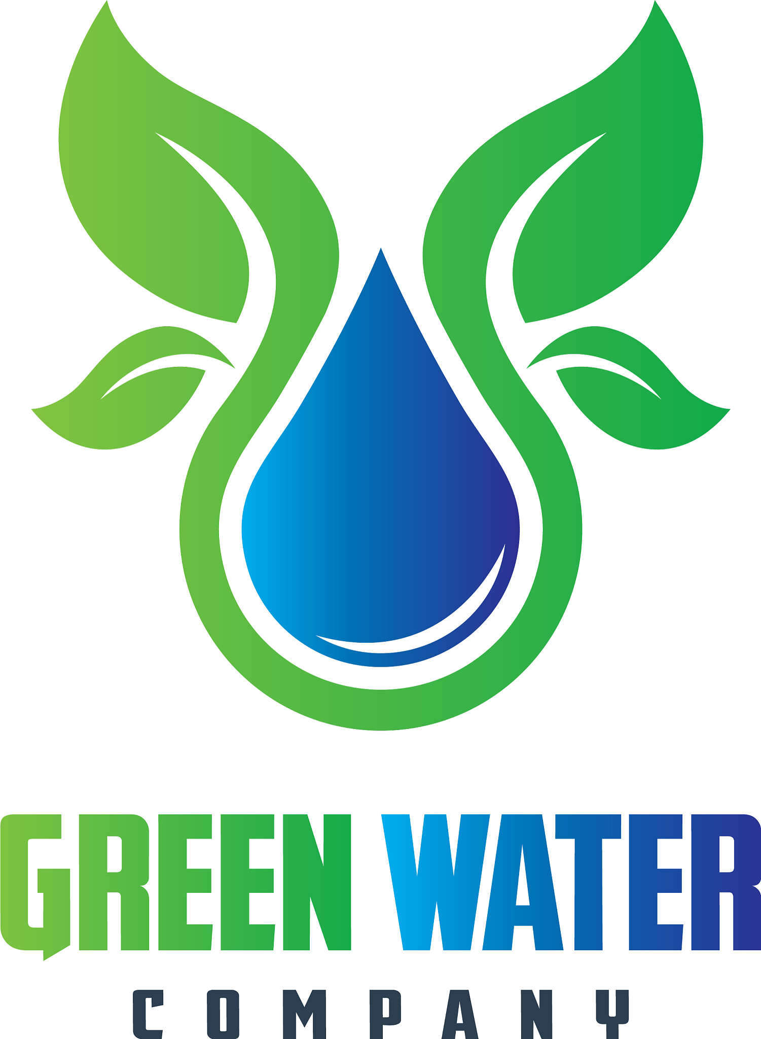 natural mineral water logo design