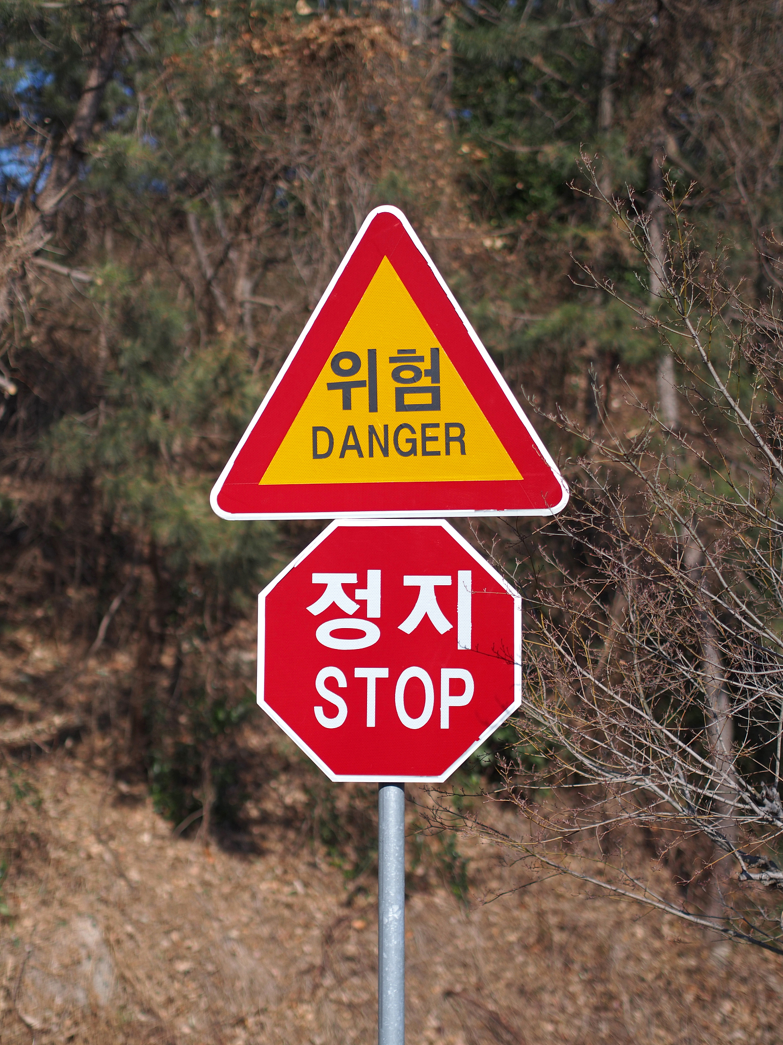 嘴长的头骨有很多选择：韩语翻译和解释