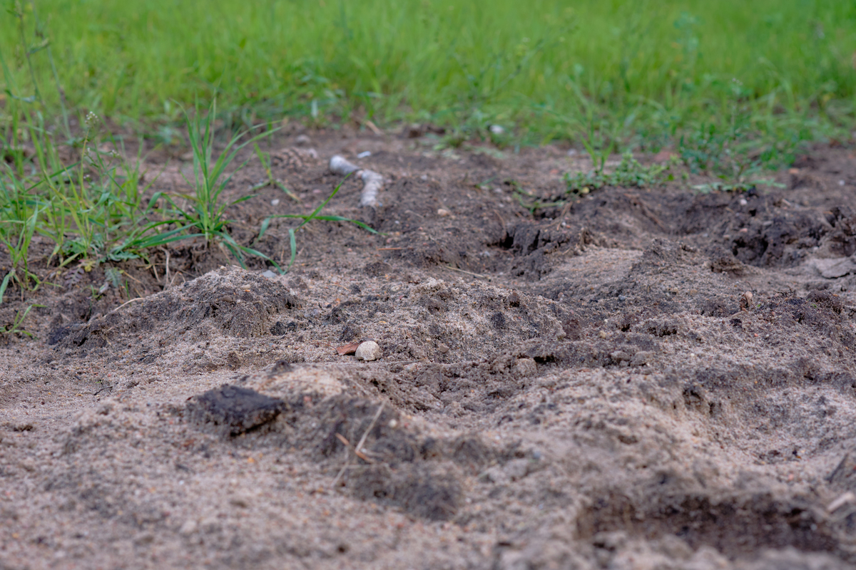 一块地表覆盖有小麦残茬的土地经过一年的休耕土壤含水量和径流具体是怎么变化的