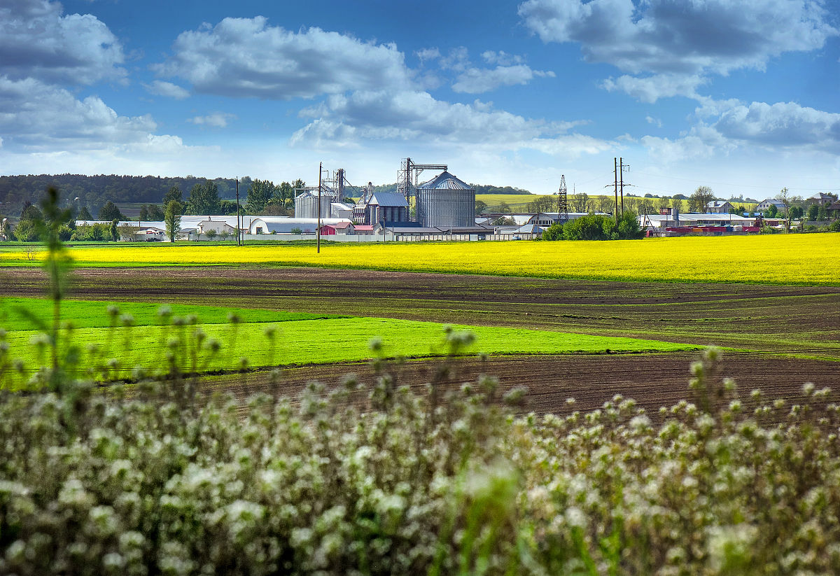 写一篇绿色储粮项目方案