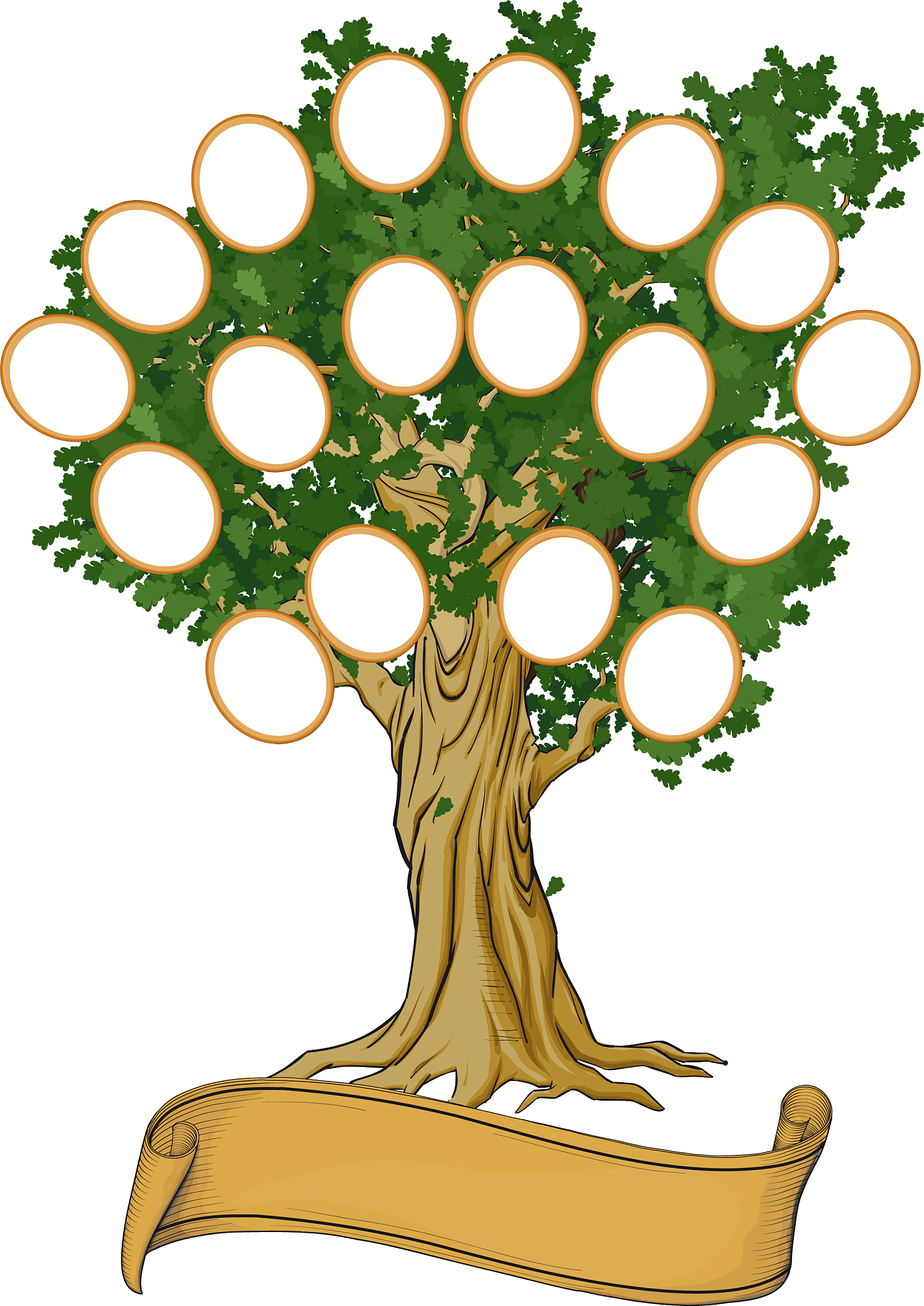 family tree