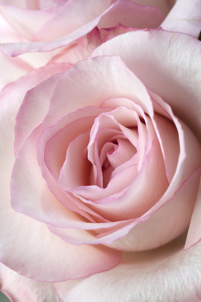 火影忍者忍者大师更新日志 - 最新版本更新内容