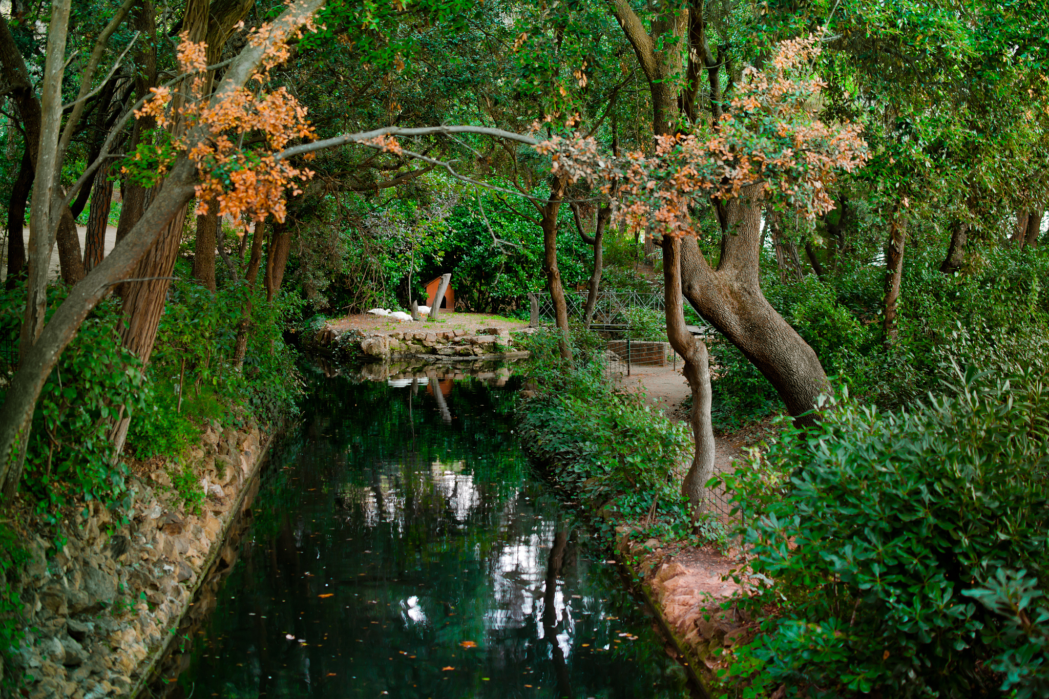 树上好地方观后感：一个充满活力与宁静的避暑胜地
