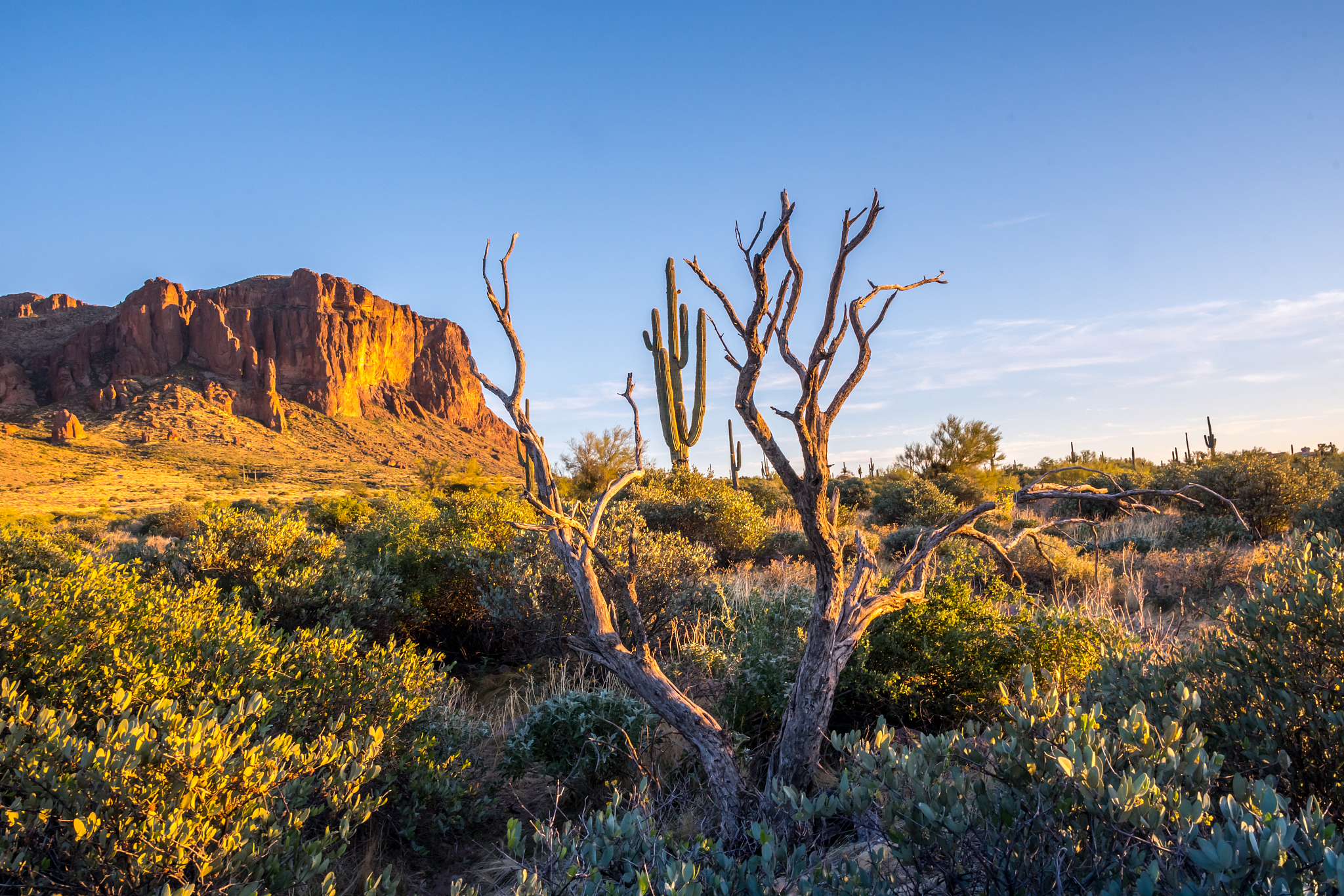 superstition mountains in lost dutchman sp, arizona