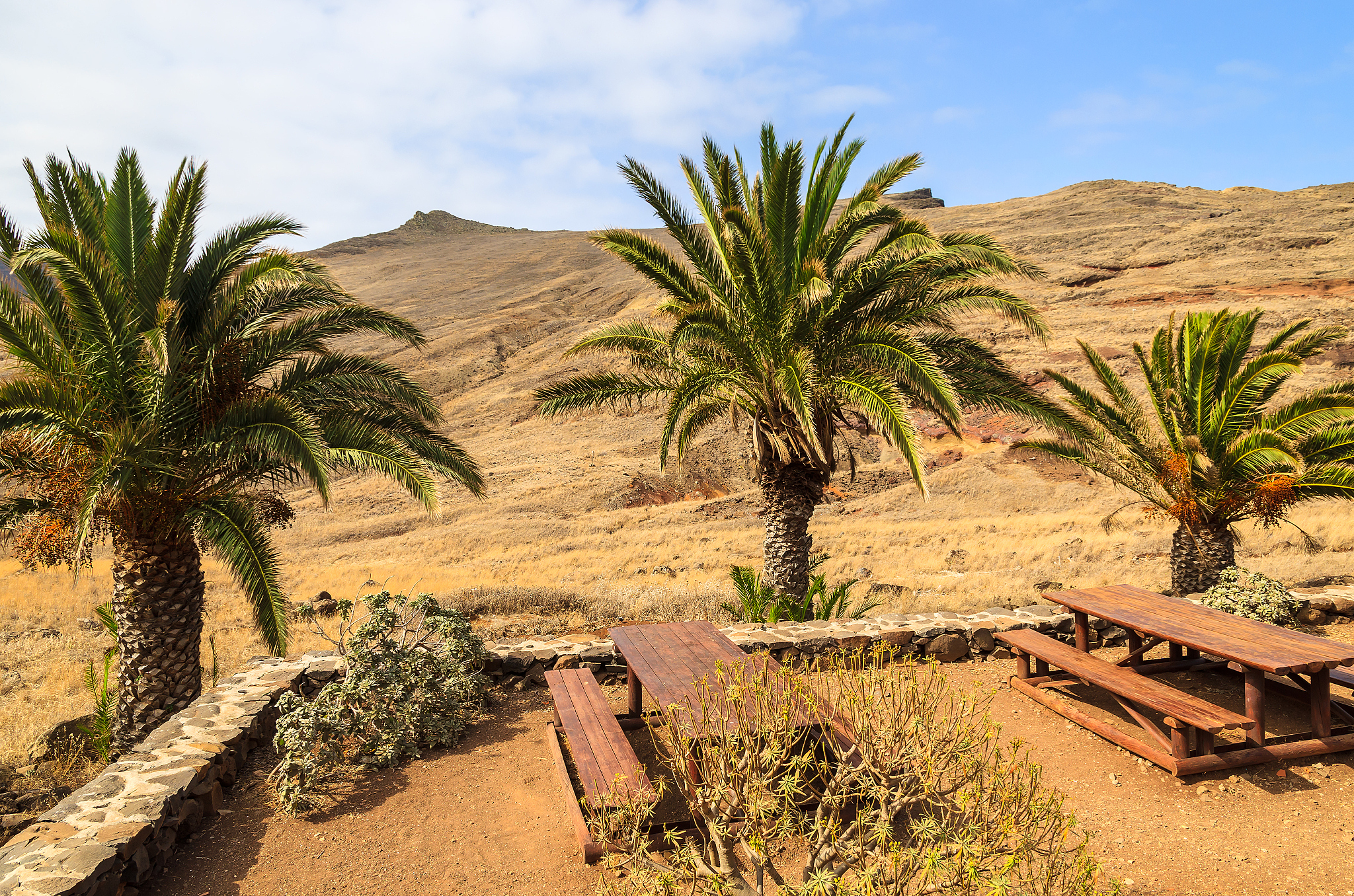 11 Miles of Desert Beauty: My Home in a Vast, Open Landscape