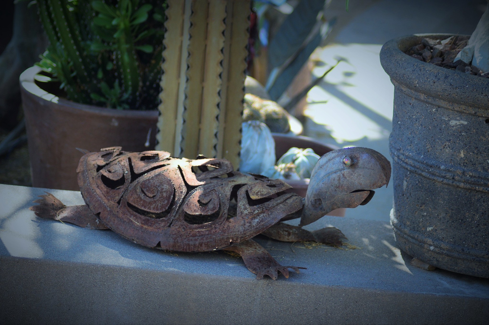 turtle