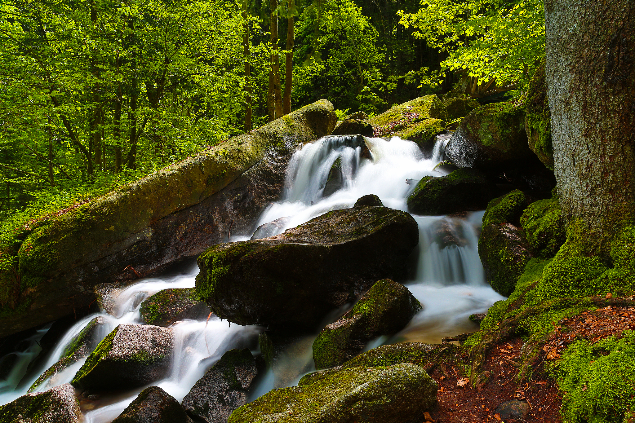 Cargo Discharge Report: Jingtang Port - Vessel Name - [Date]