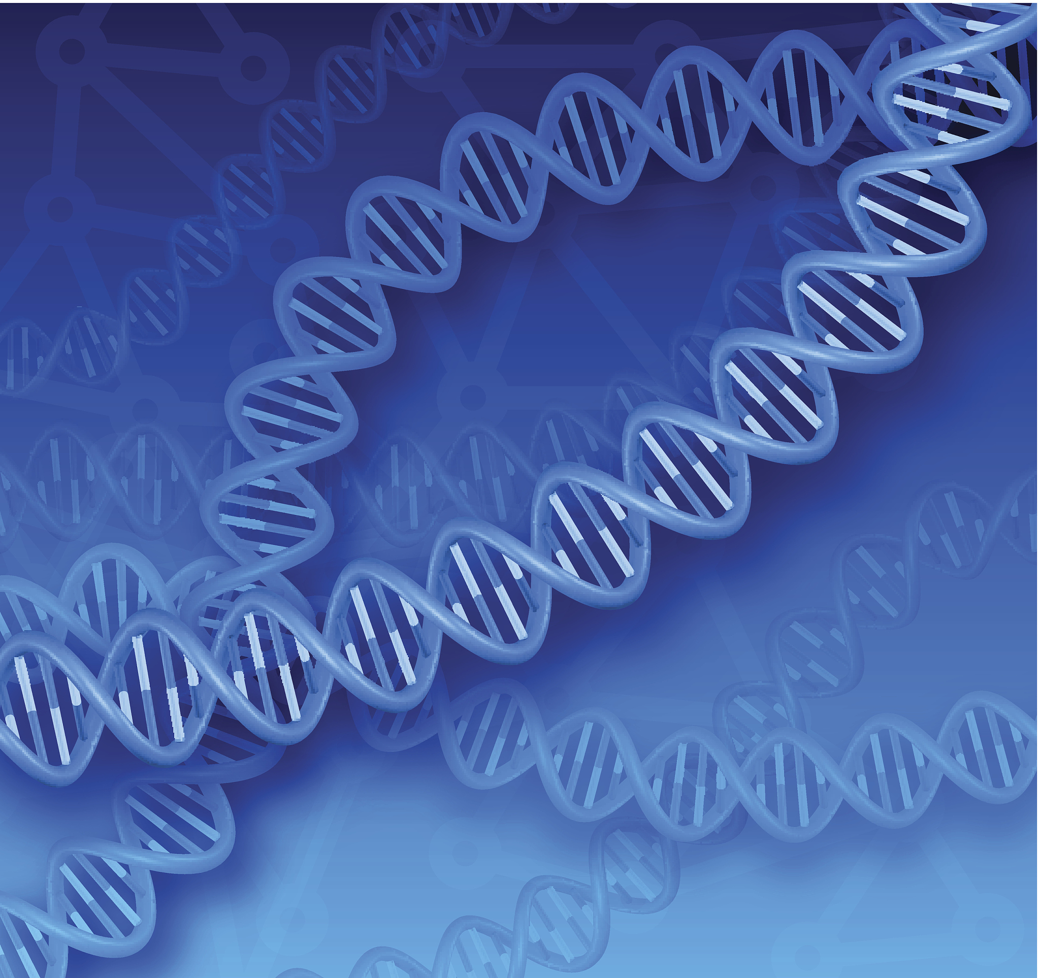 MYB基因家族：结构、功能与应用综述
