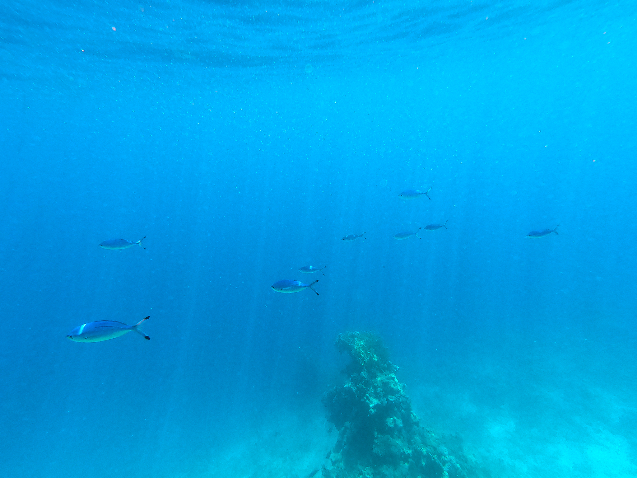 beautiful texture of the sea and ocean water. blue background. u