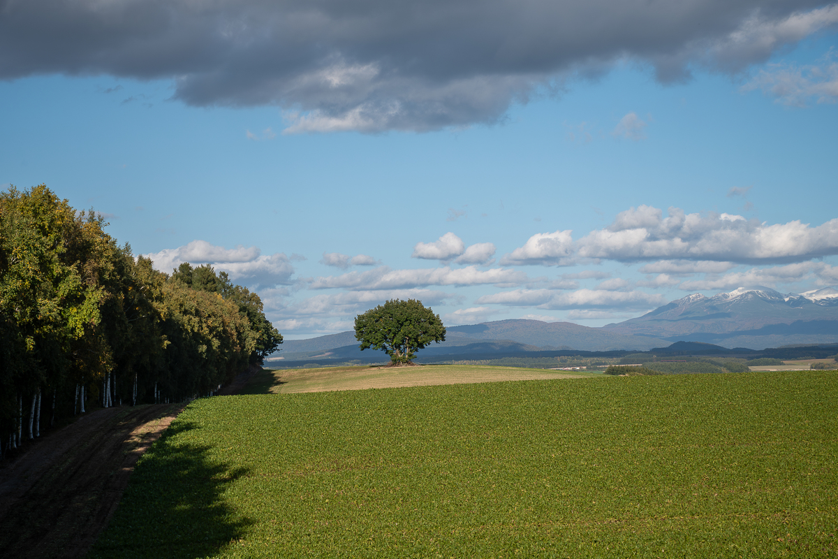 朋友：If you could live anywhere in the world not having to worry about bills or anything where would it be我该如何回答？