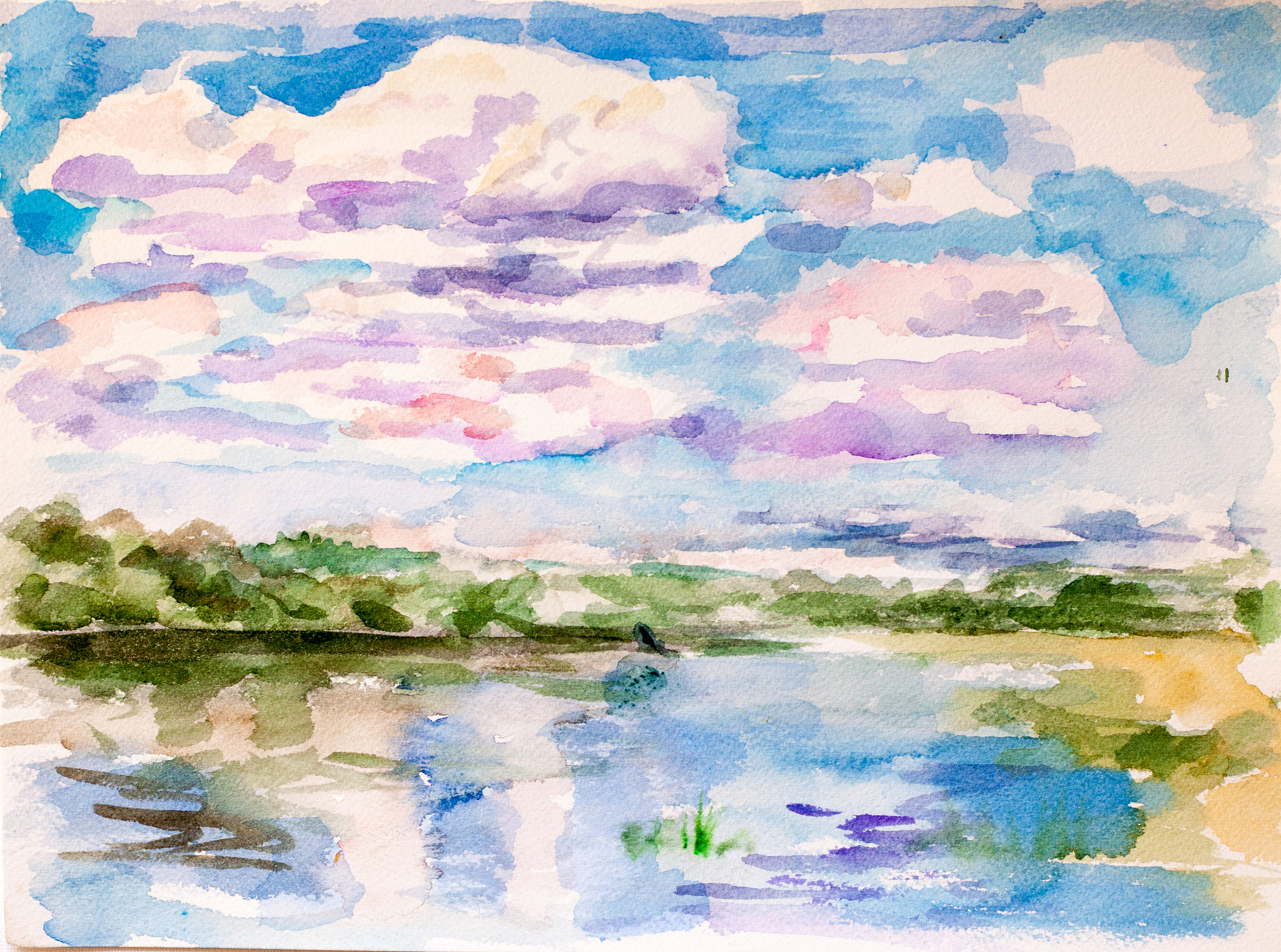 润色：The concept of color in water painting gradually formed through a long historical process With the development of society and the improvement of material conditions peoples awareness has been eleva