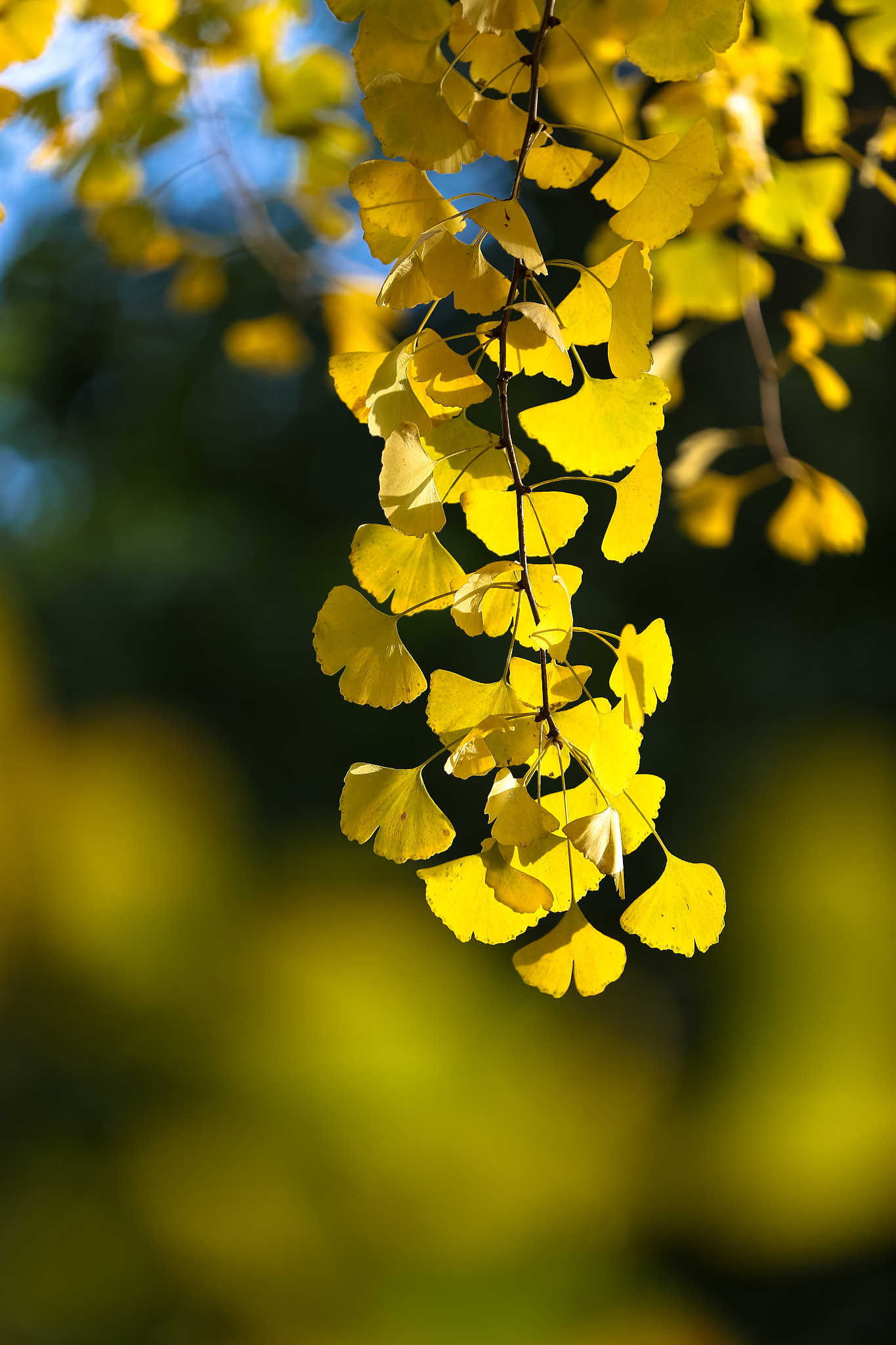 北京信息科技大学工业设计专业怎么样？ - 未来发展趋势与就业前景分析