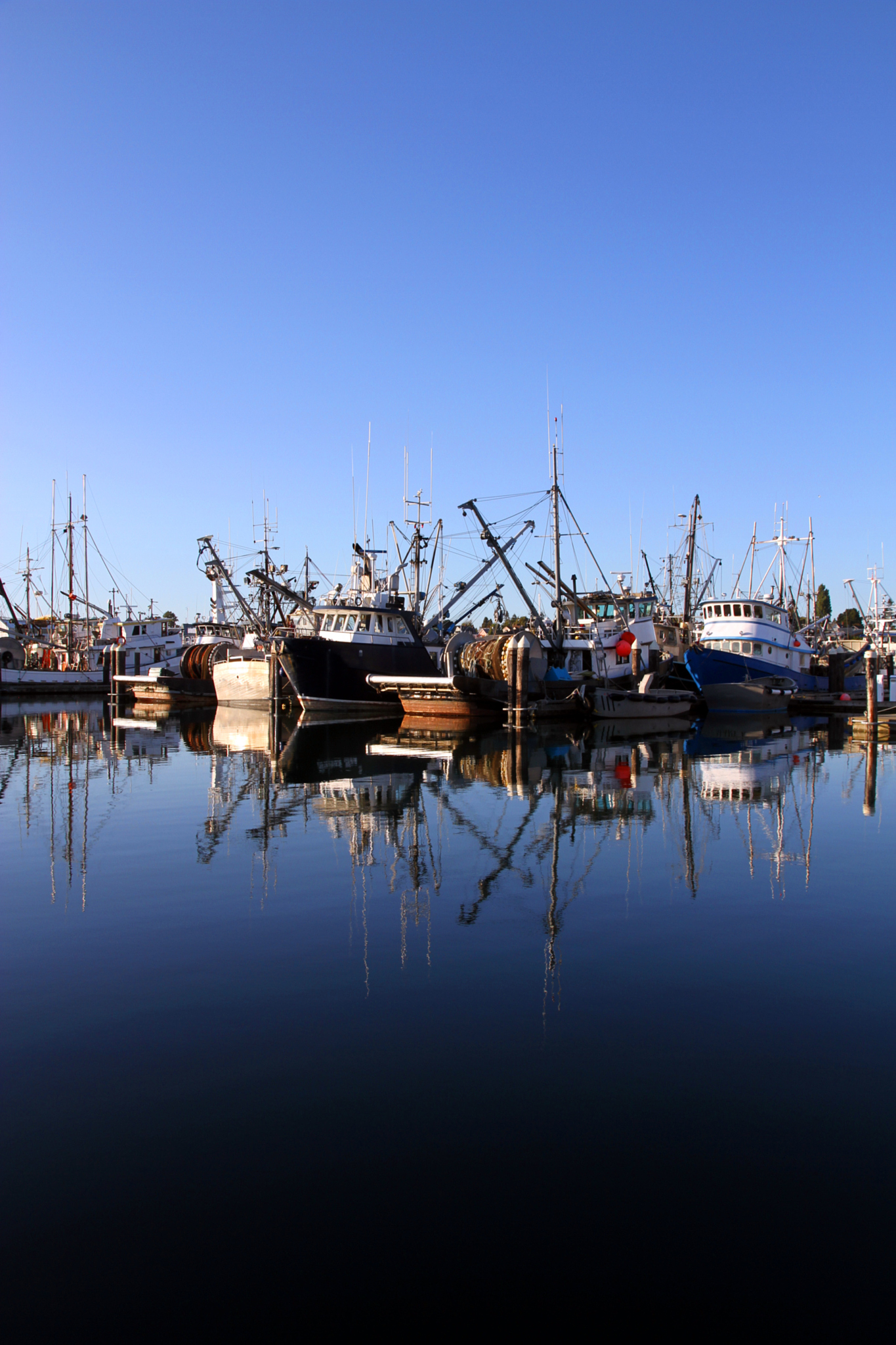fishing fleet