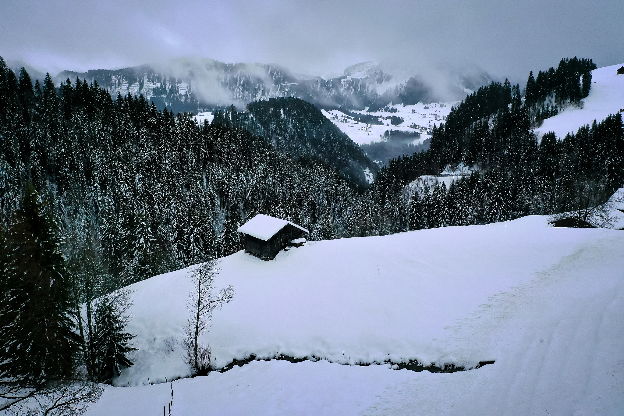 为什么想去奥地利旅游？ | 300字演讲稿
