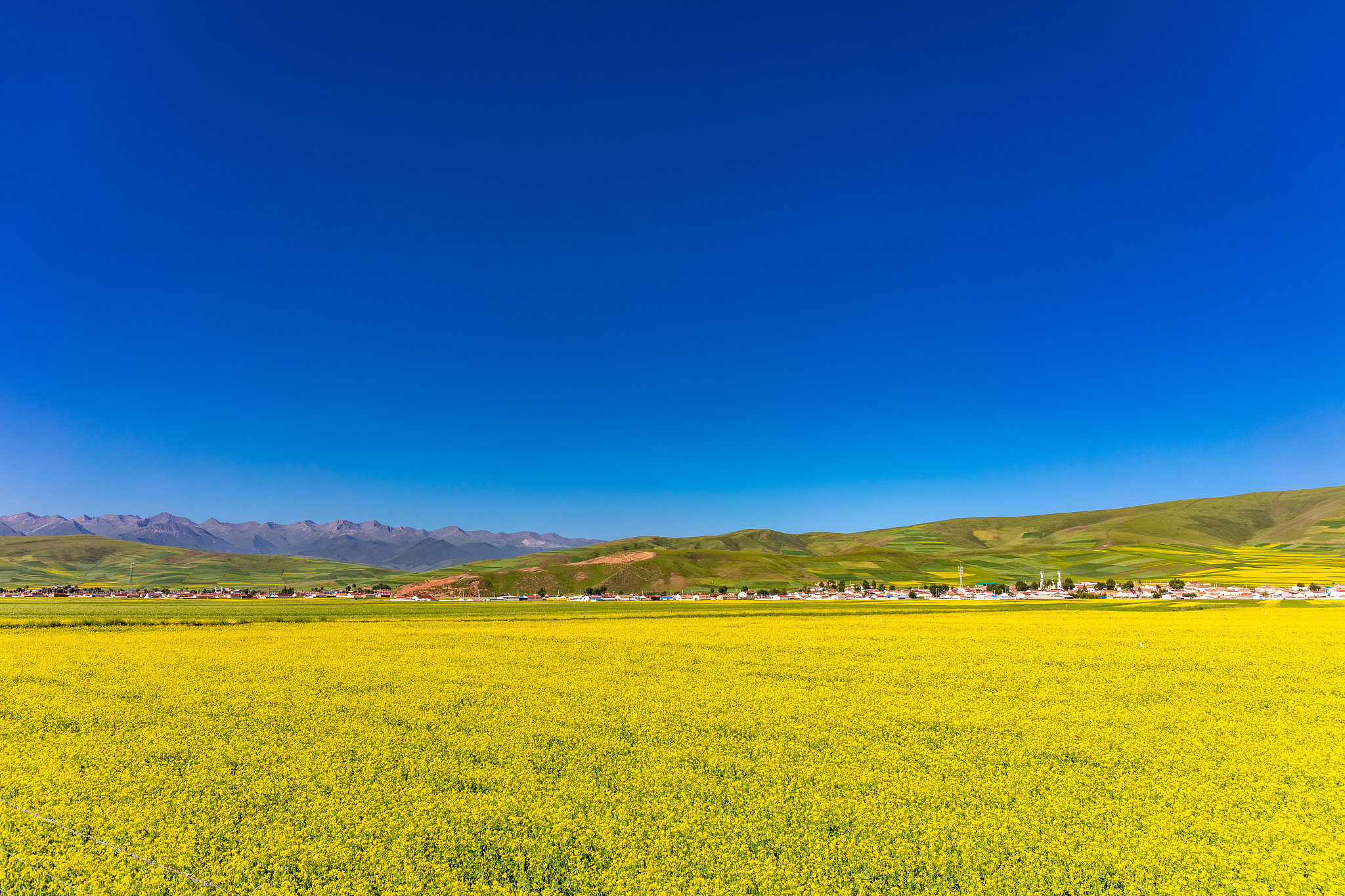 辽宁农业职业技术学院旅游农业专业怎么样？就业前景及课程设置分析