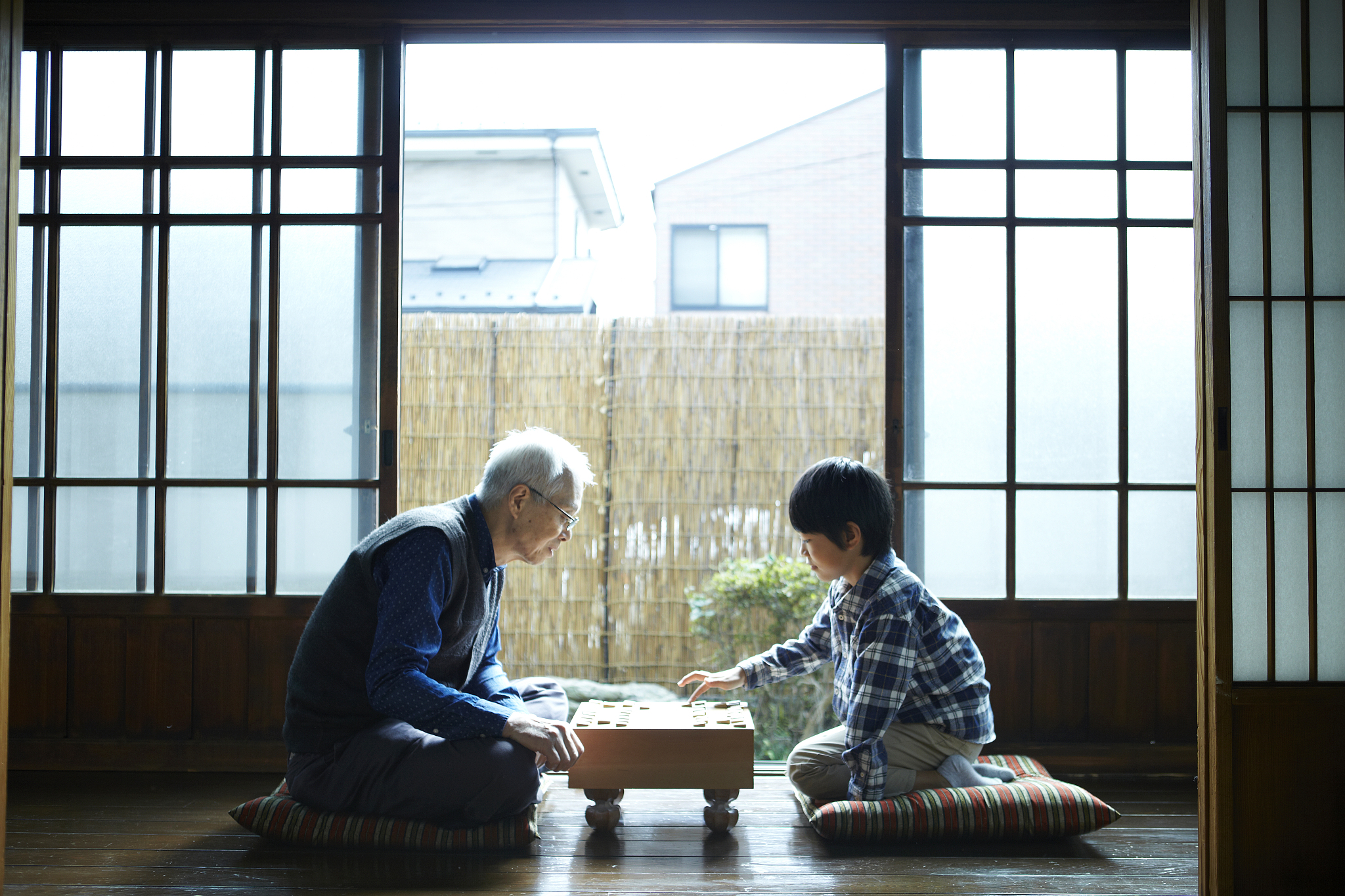 祖父 孙子或孙女 将棋