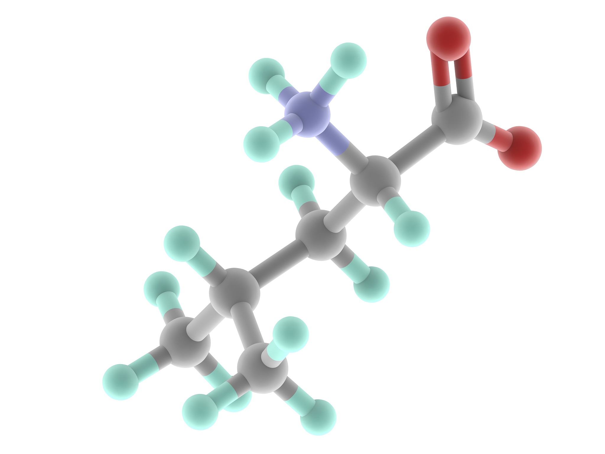 蛋白质和氨基酸的关系