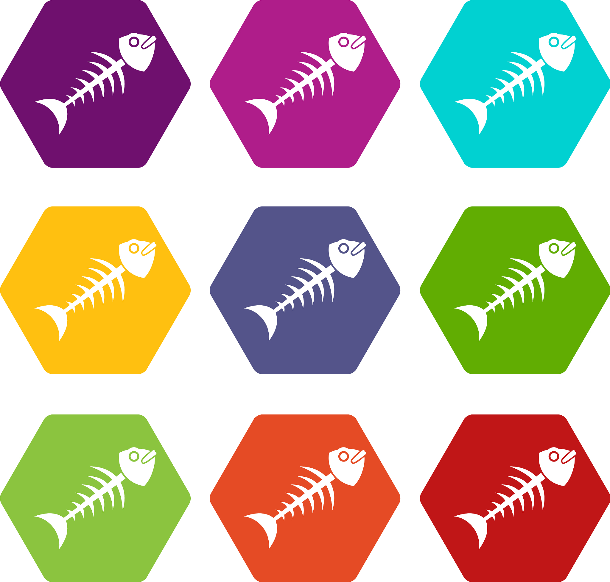 贵州畜牧兽医学校动物医学专业2022年招生