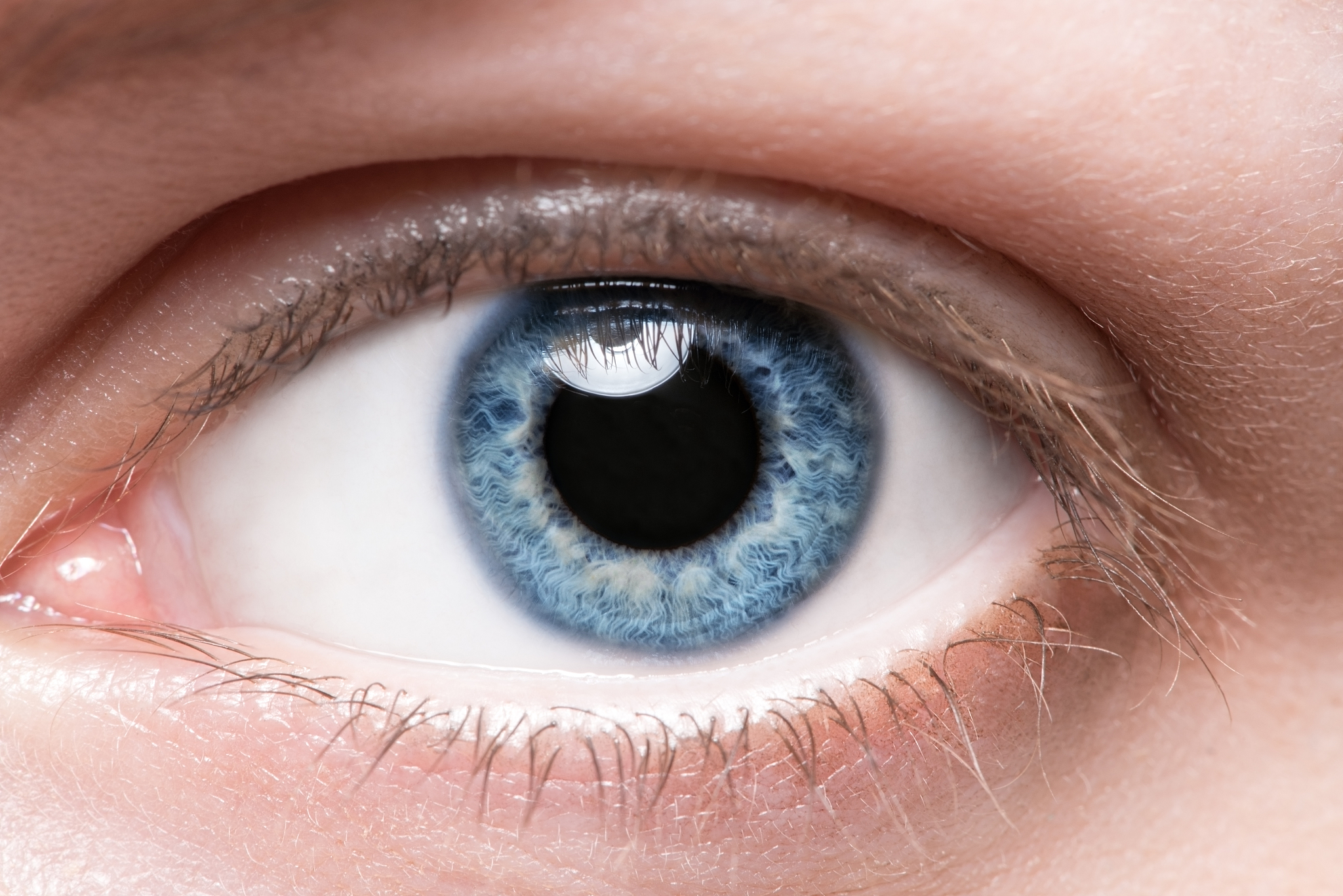 close up blue eye