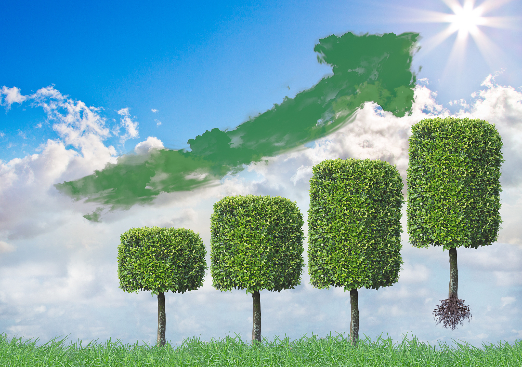 小微企业绿色信贷论文主题：影响、政策、趋势、风险、环保、评价、应用、营销、财务、融资