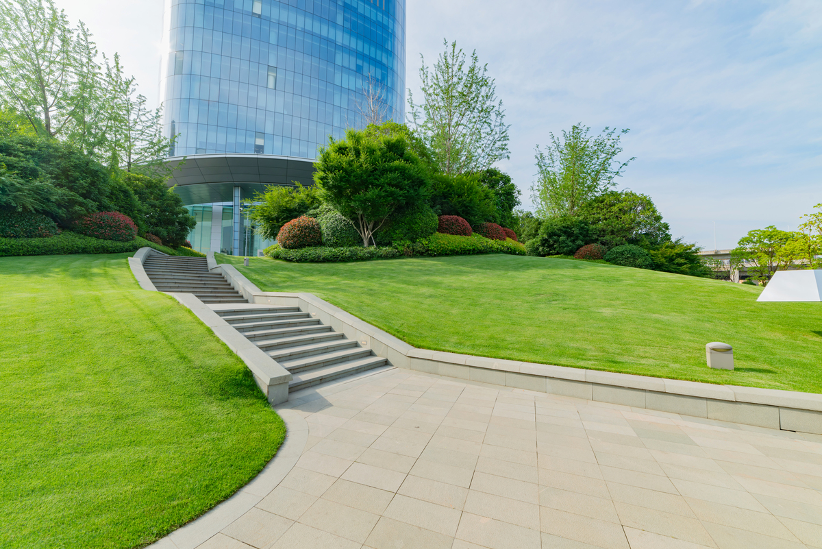 南通理工校园b楼中庭景观设计该区域有植被区域与一个t型道路。这个区域是师生经常通过的路径也是考研同学备考与放松的地方。写一篇设计说明5000字