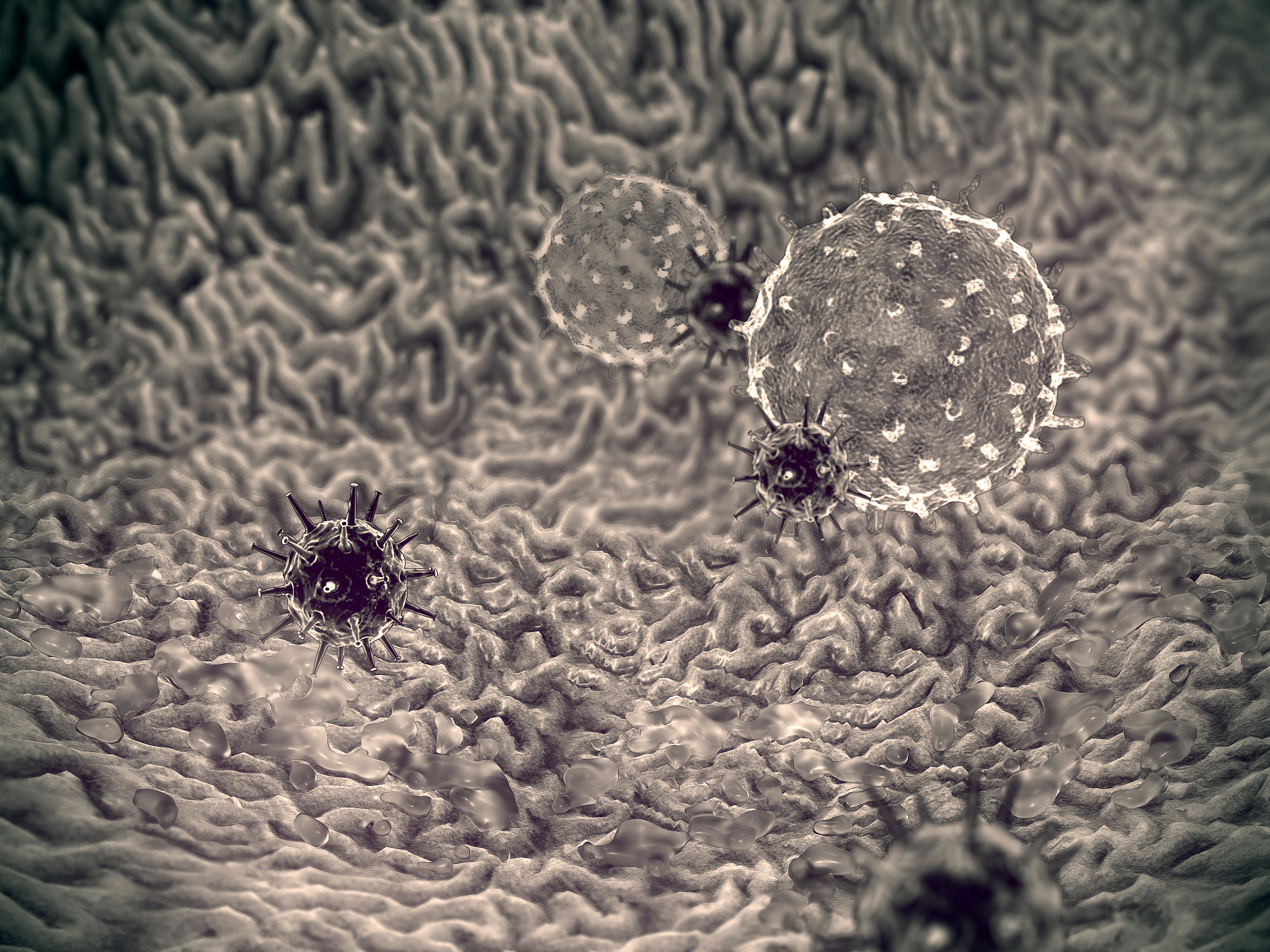 白细胞吞噬球菌感染：一种免疫受损患者的严重威胁