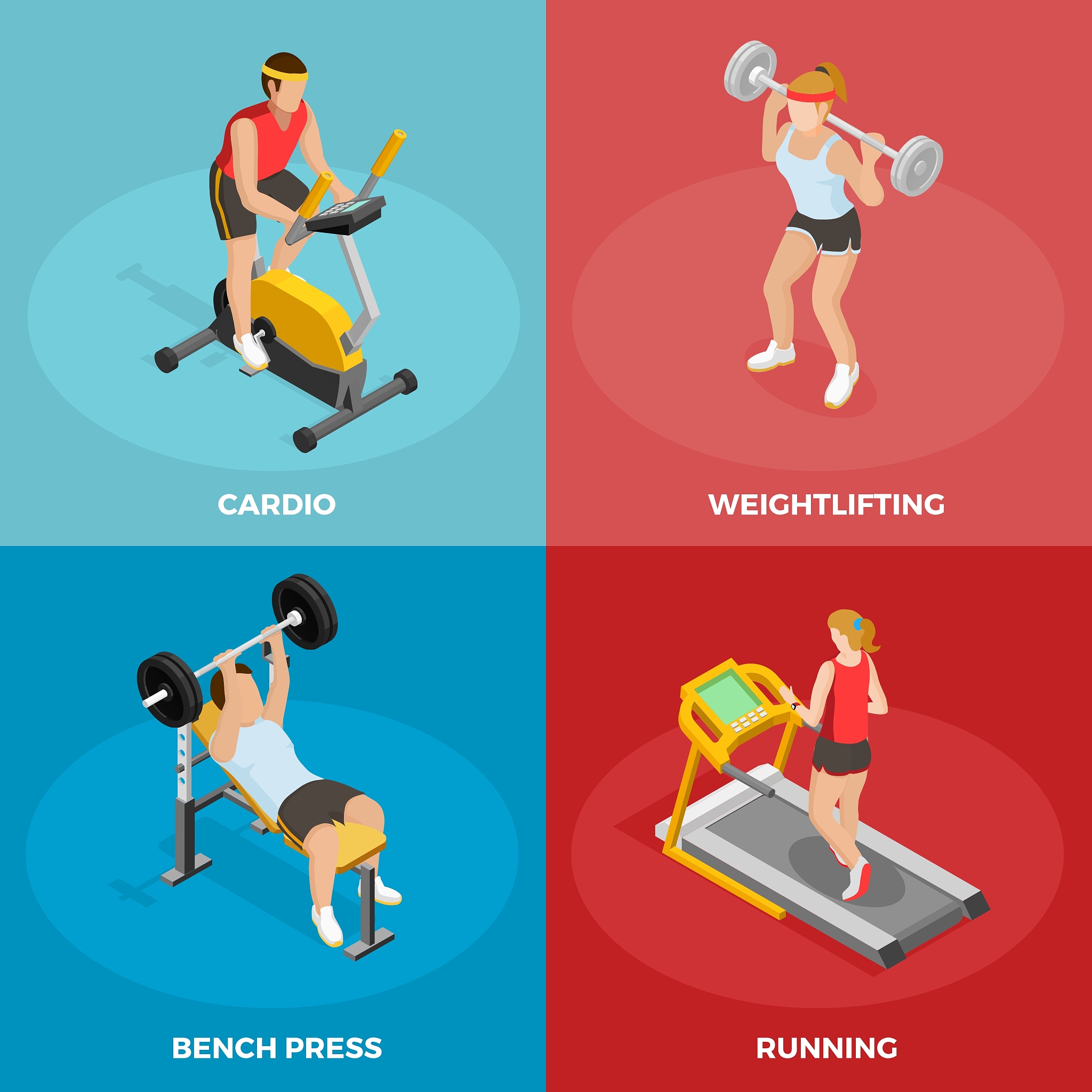 New Gym Open for Students: A Must-Visit for Fitness Enthusiasts