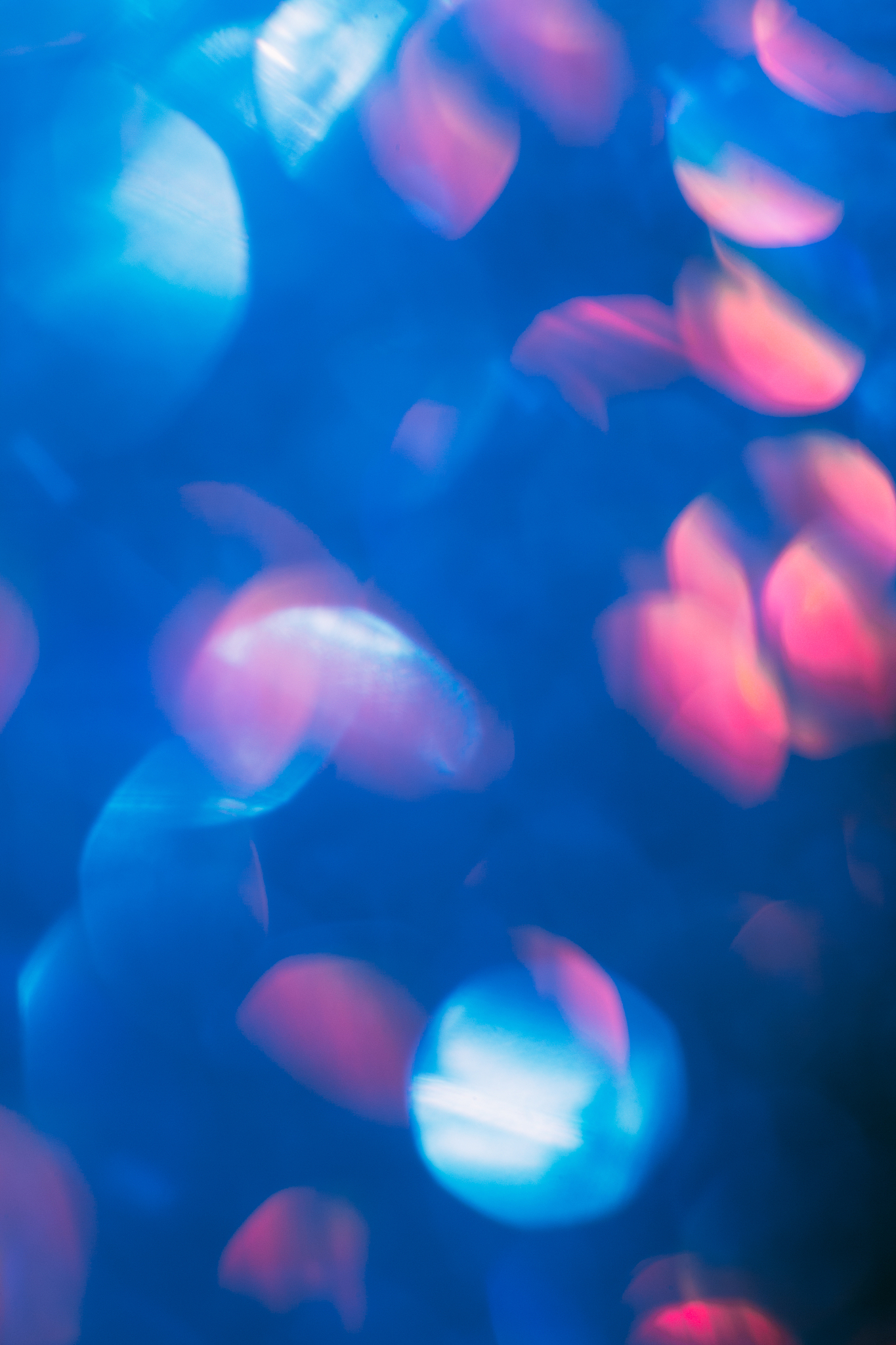 abstract blurred glittering shine background