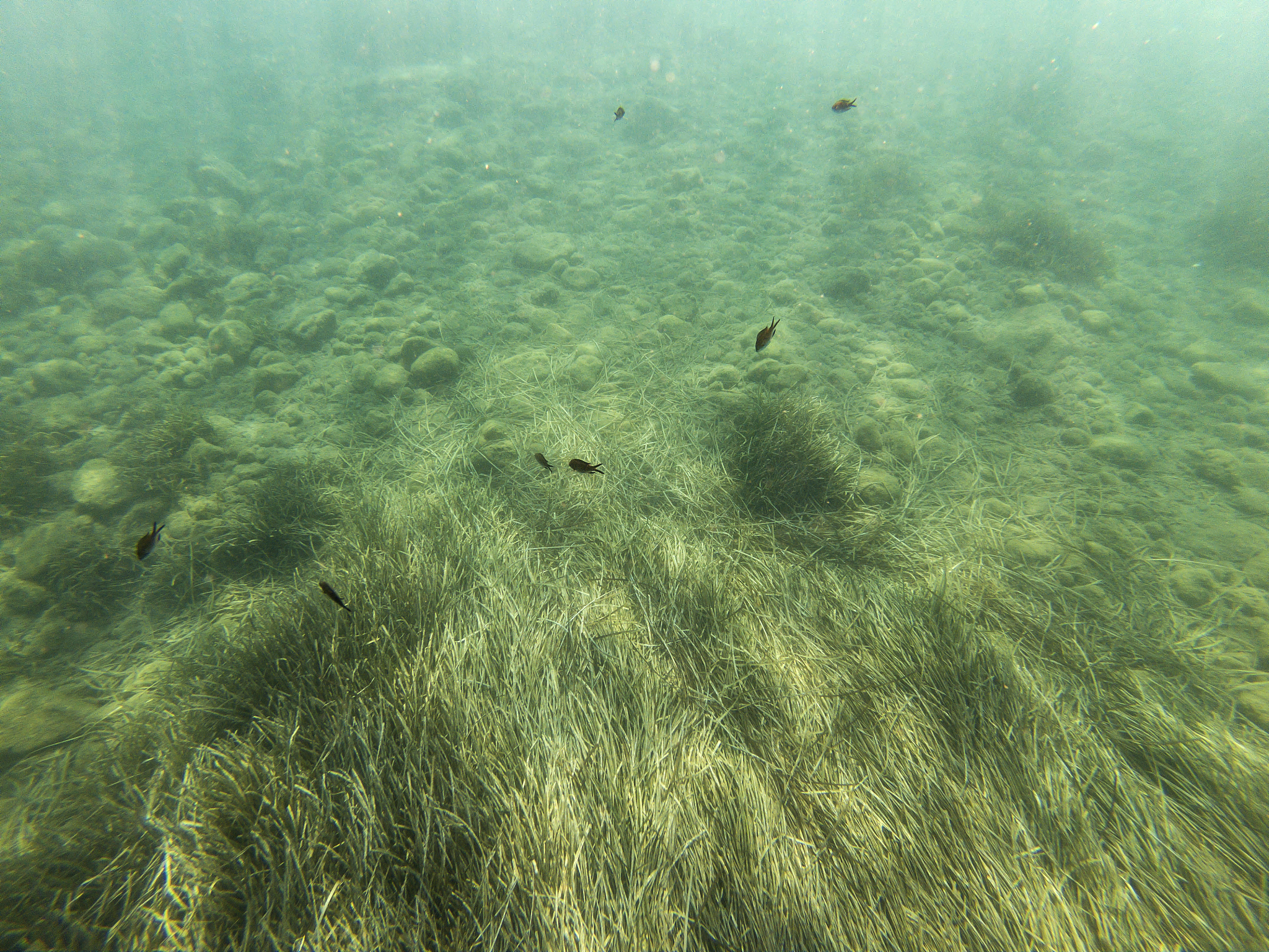 underwater