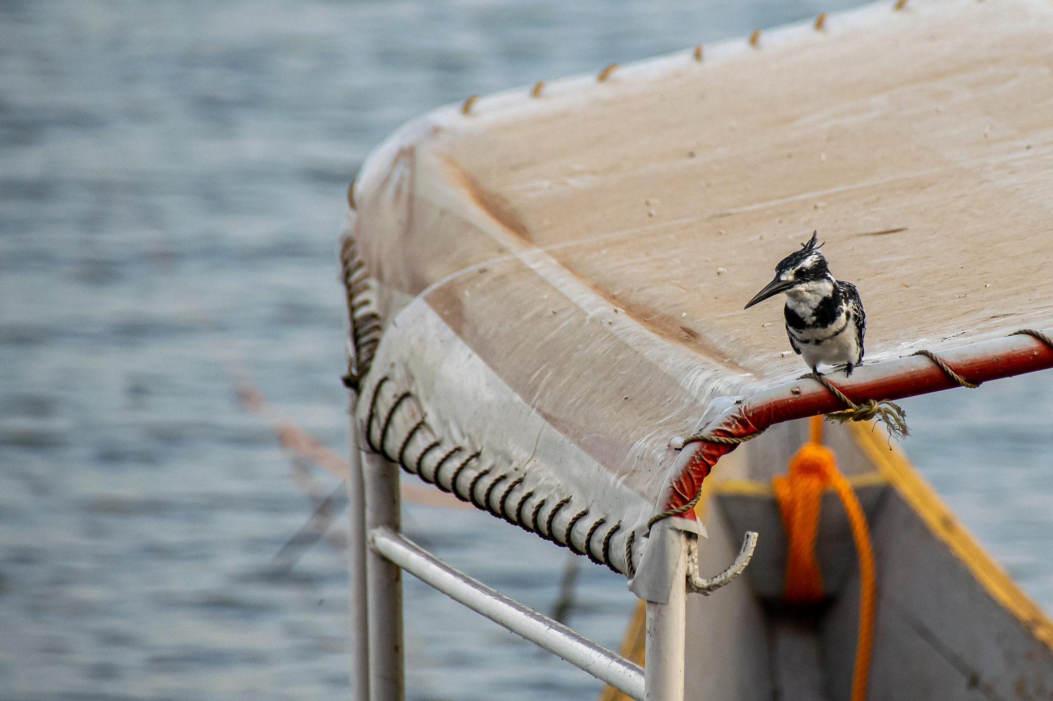 作为中国企业或公民如何生活在乌干达翠鸟油田项目的区域里有什么建议？请罗列3点每点要求有标题和要求200字左右