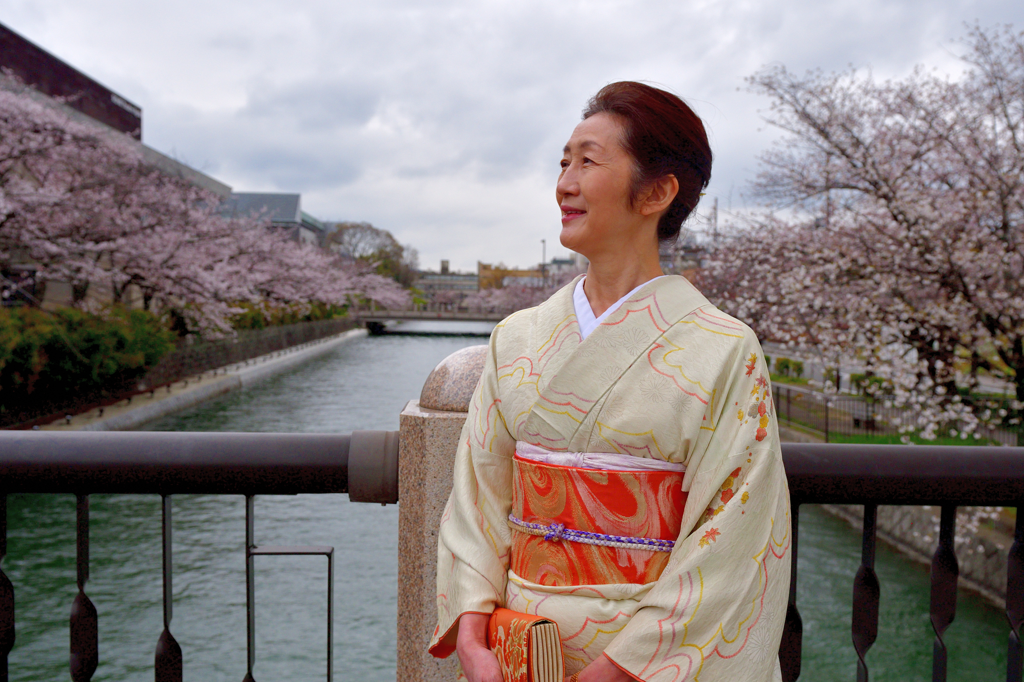 japanese woman in kimono enjoying cherry blossom season in kyoto