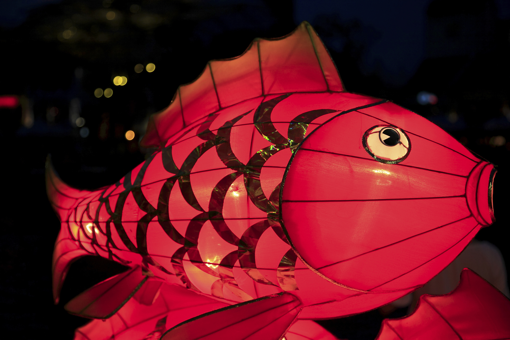 鱼跃龙门，光影流转：我的鱼灯设计灵感及寓意