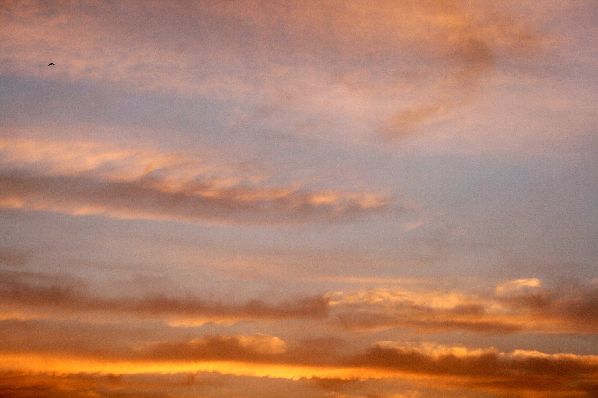 环境质量评价：守护碧水蓝天，解读环境密码