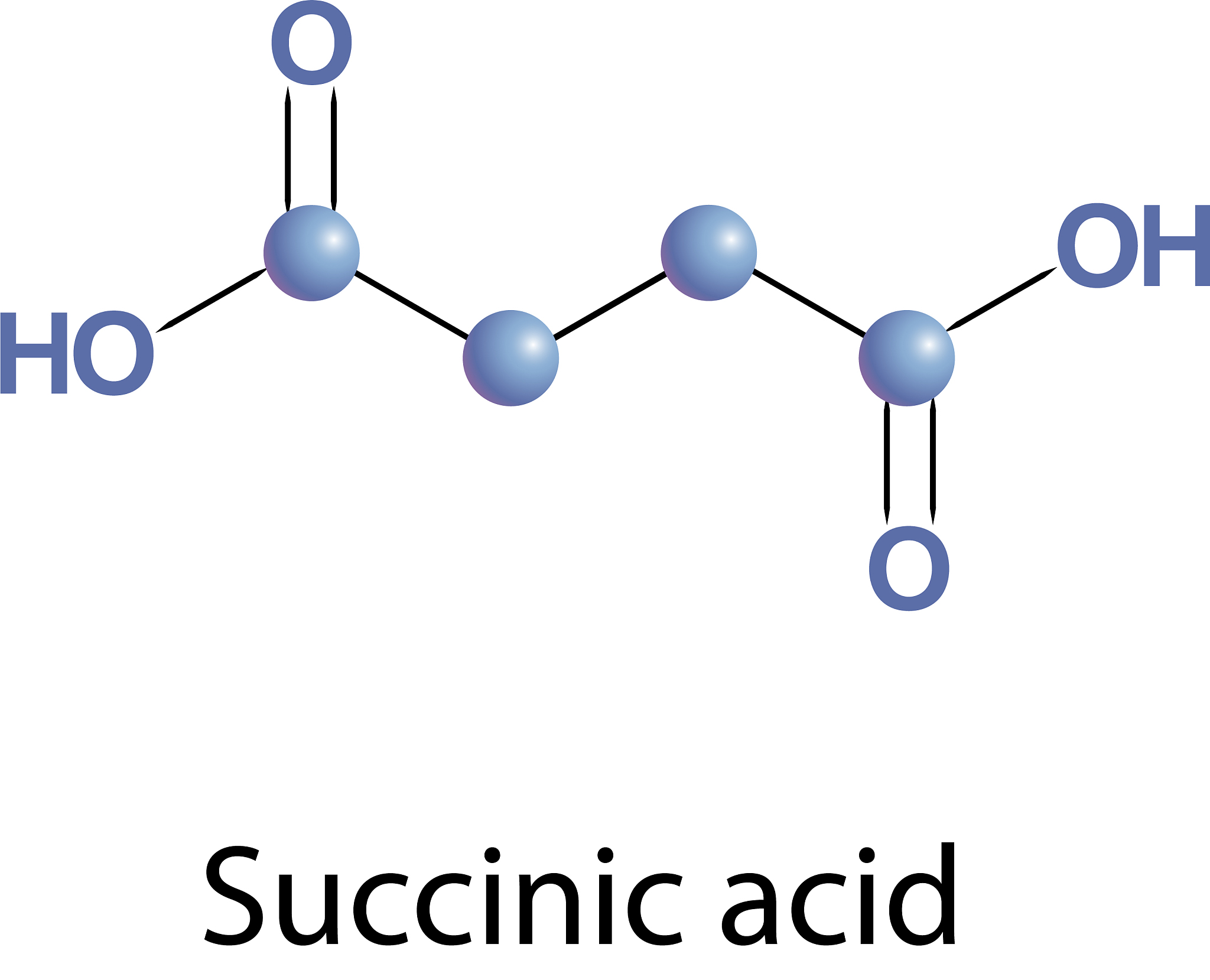 专业英语翻译下面这句话：琥珀酸和马来酸在水中的溶解度分别用点S和S表示。