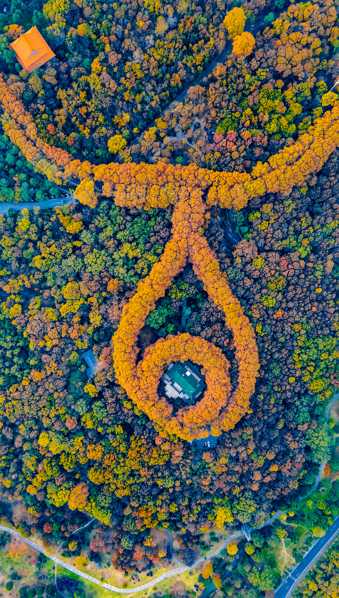 南京大专学校哪个好？2023年南京大专学校排名及专业选择指南