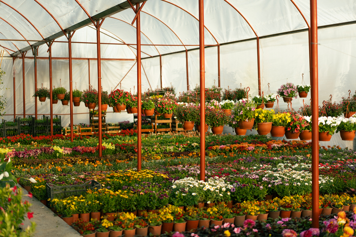 苗卉园研学：寓教于乐，体验自然与科技